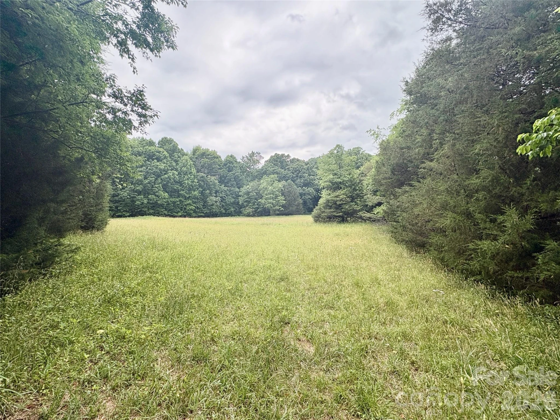254 Beechwood Farm Road #1 - Photo 4