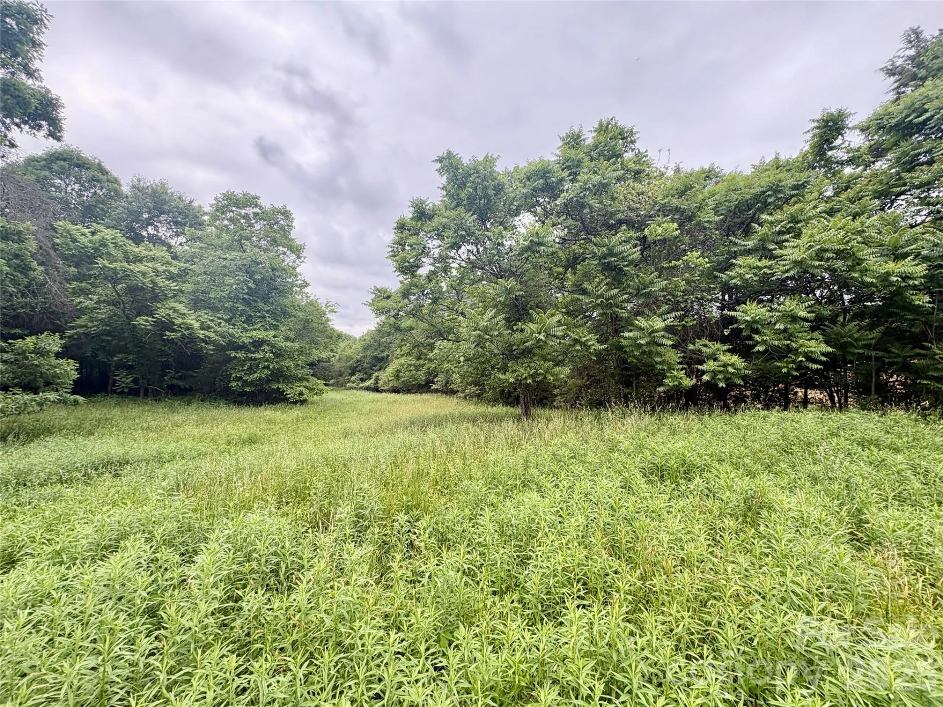 254 Beechwood Farm Road #1 - Photo 5
