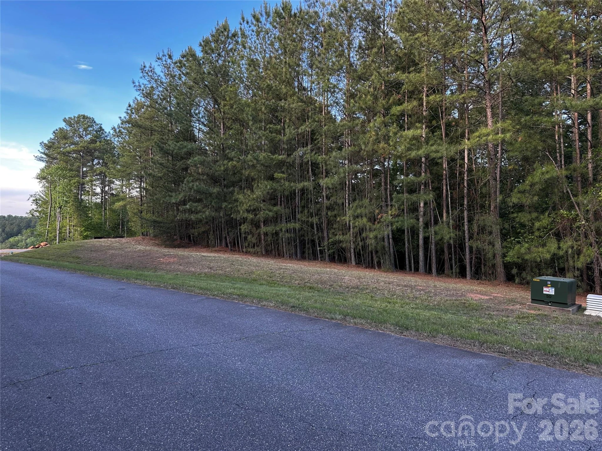 308 Harbor Watch Drive - Photo 2
