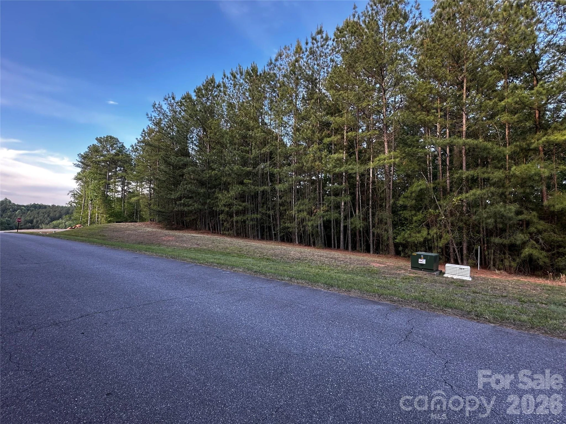 308 Harbor Watch Drive - Photo 6