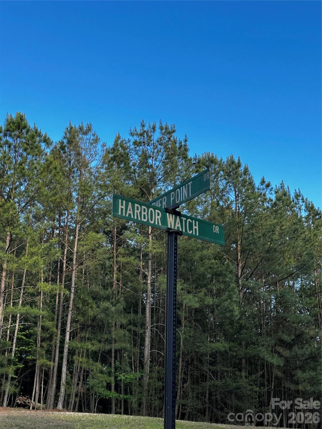 308 Harbor Watch Drive - Photo 7