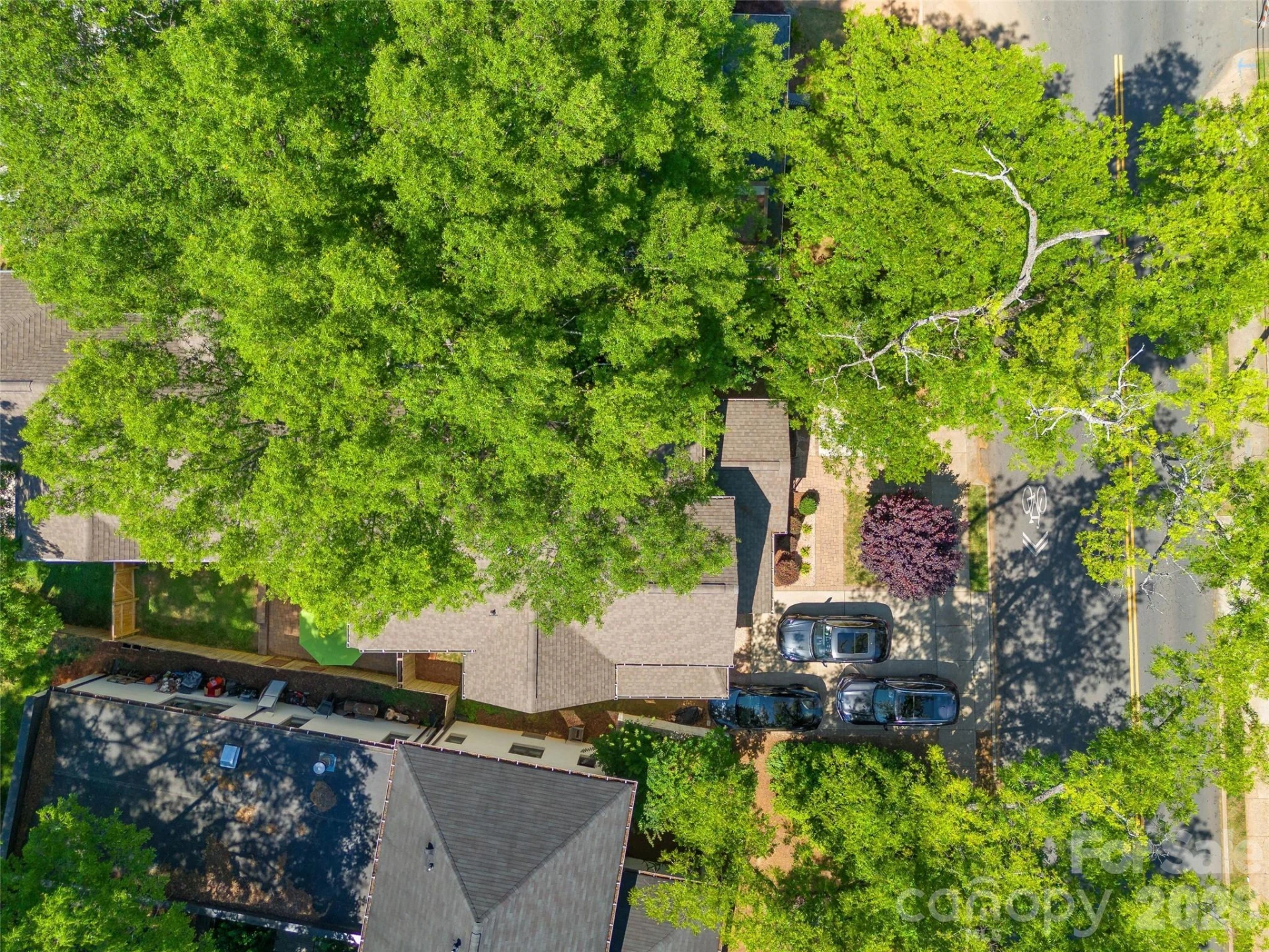 425 Pecan Avenue - Photo 47