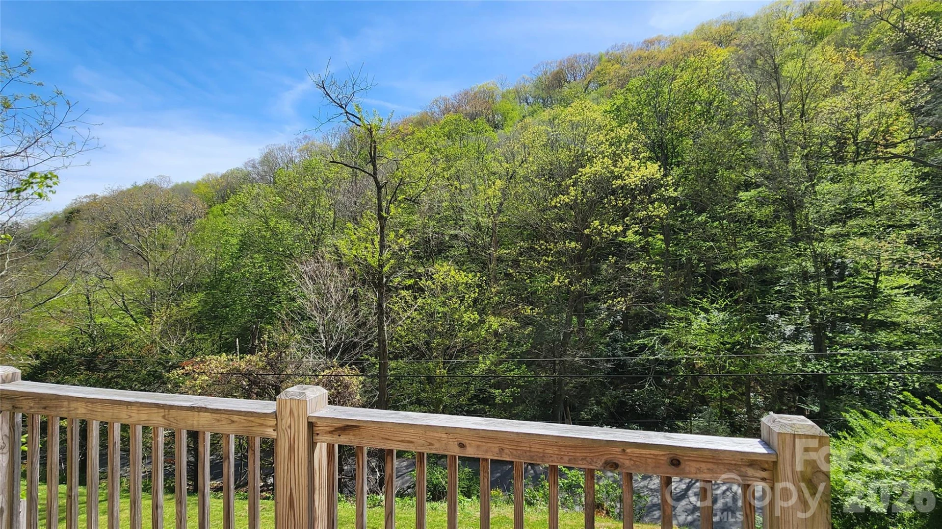 120 Fox Run Ridge Drive - Photo 4