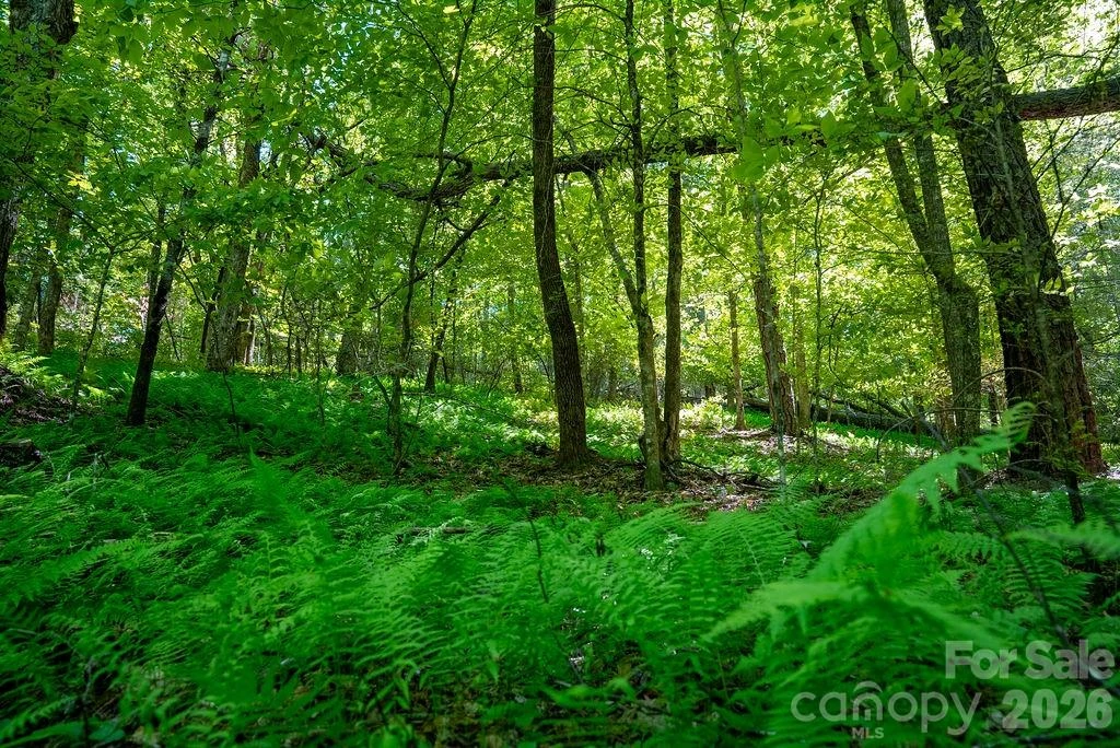 262 Wingfield Way - Photo 2
