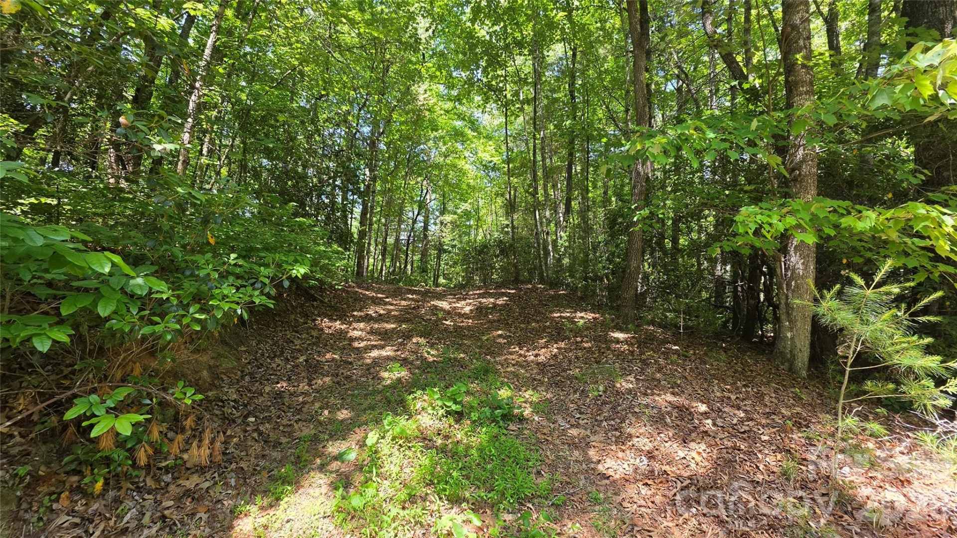 262 Wingfield Way - Photo 11