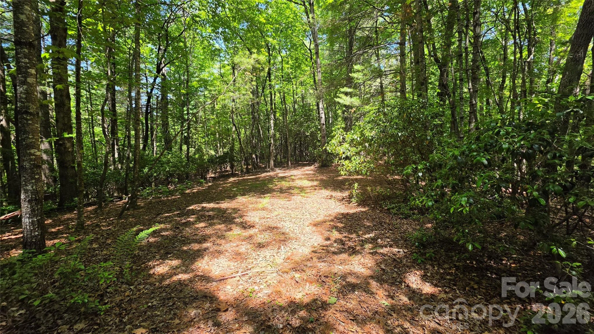 262 Wingfield Way - Photo 12