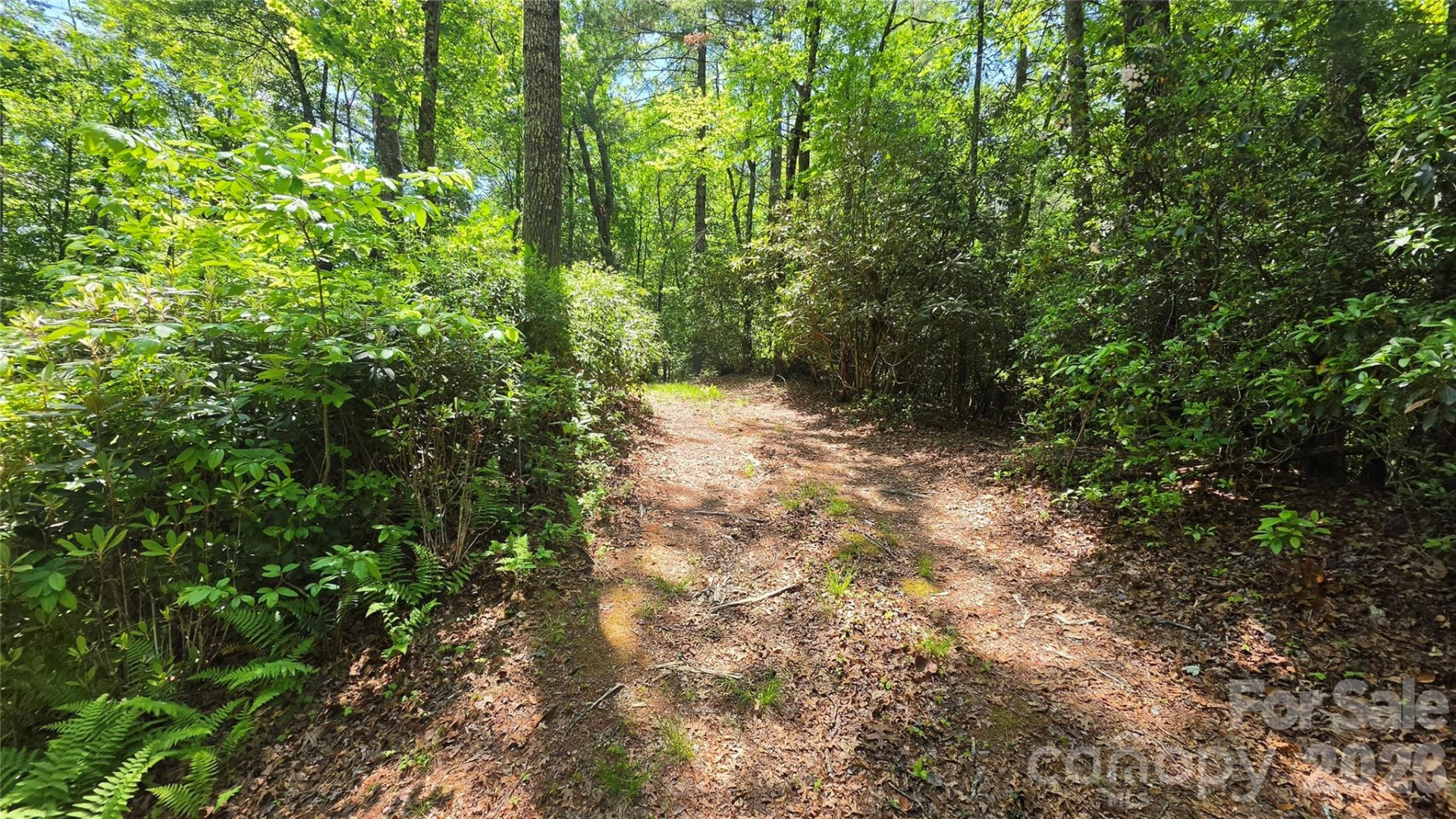 262 Wingfield Way - Photo 3