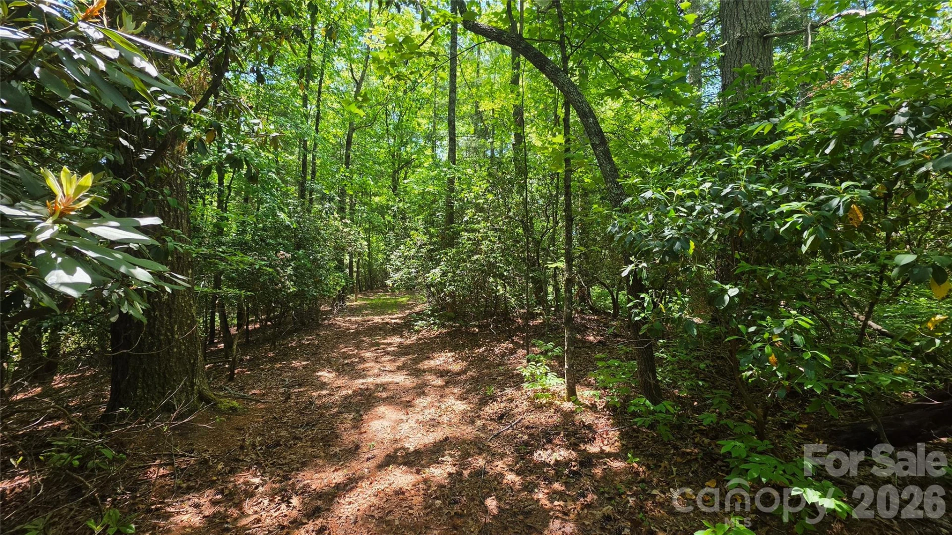 262 Wingfield Way - Photo 4
