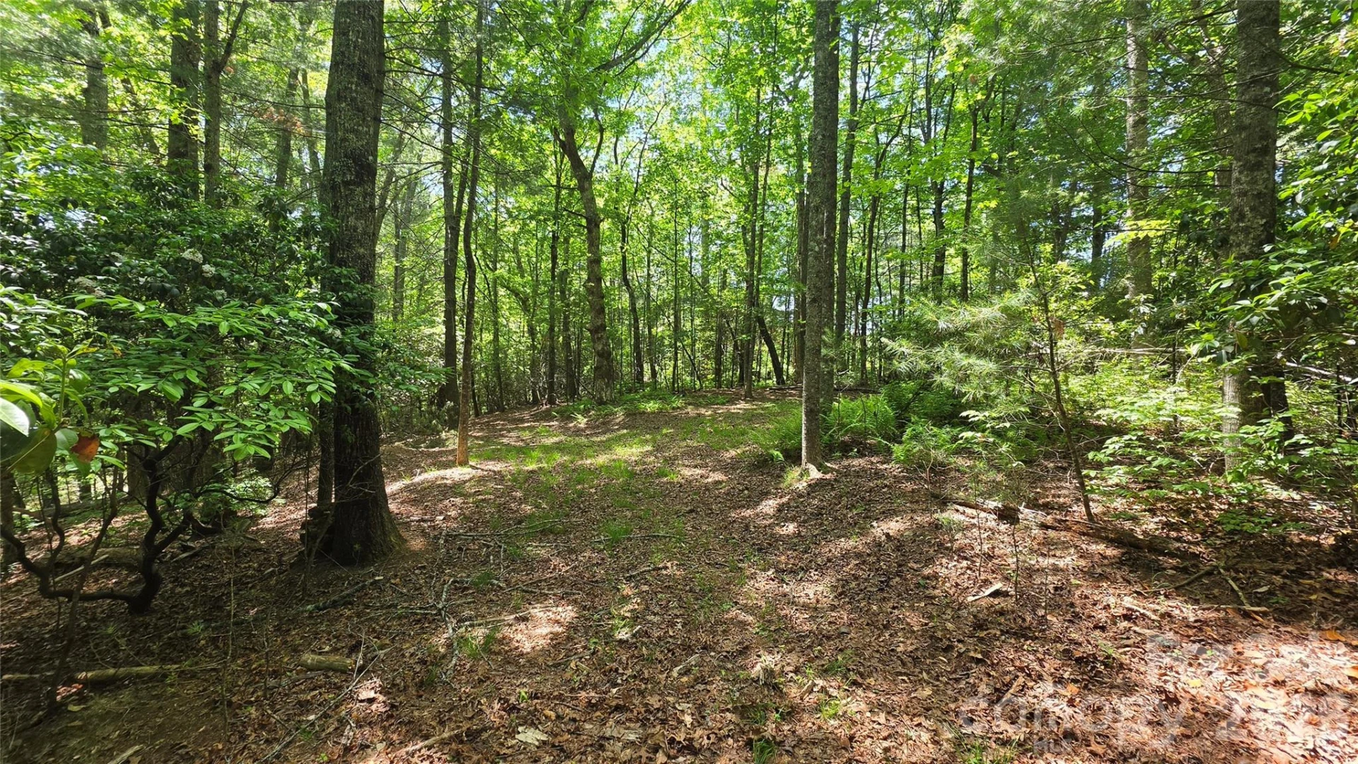 262 Wingfield Way - Photo 5