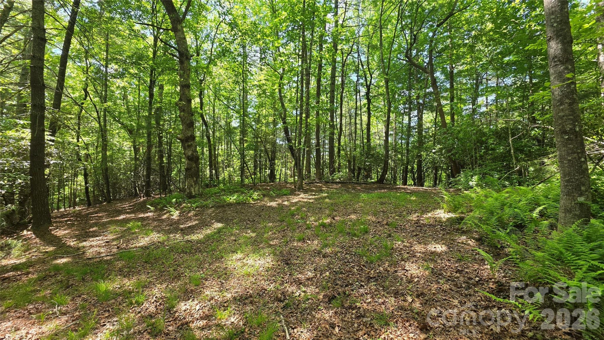 262 Wingfield Way - Photo 6