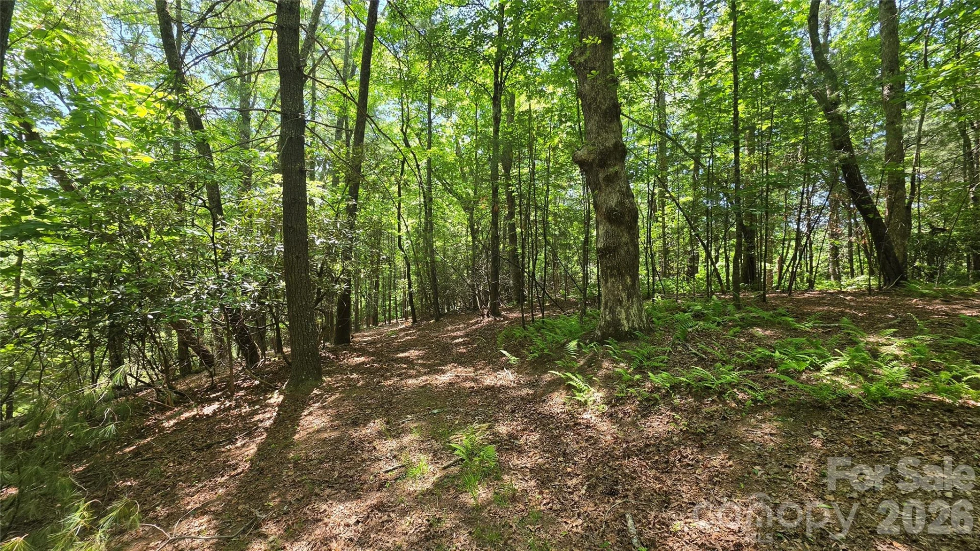 262 Wingfield Way - Photo 7
