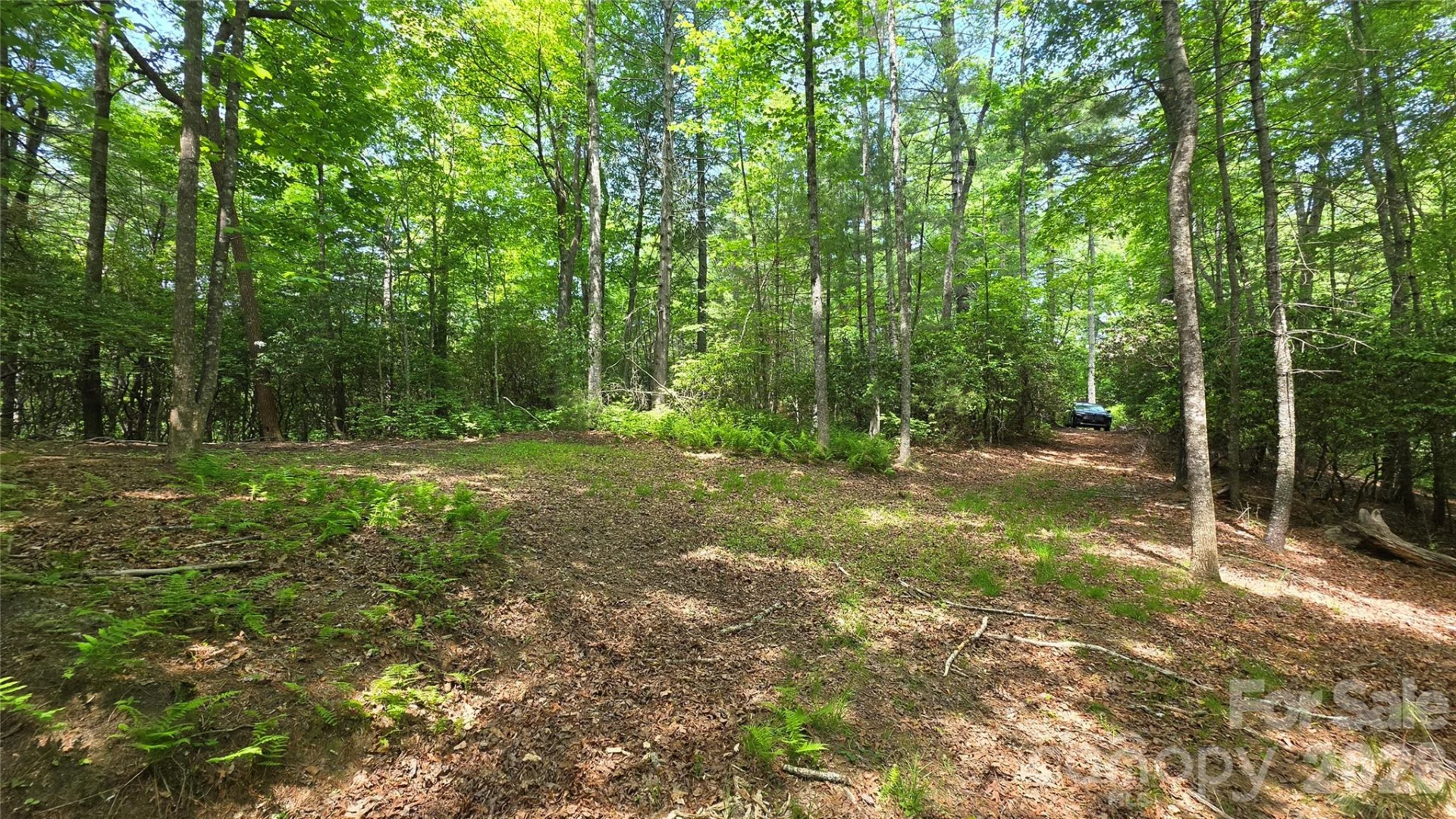 262 Wingfield Way - Photo 8