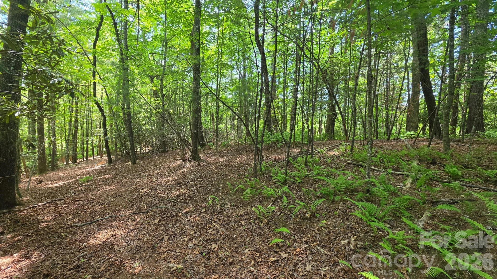 262 Wingfield Way - Photo 9