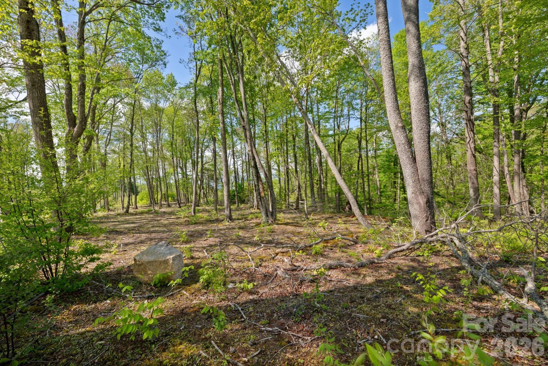 576 Eagle Springs Trail - Photo 38