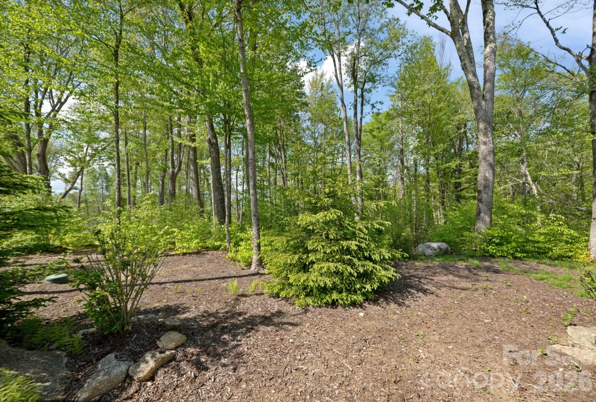 576 Eagle Springs Trail - Photo 39