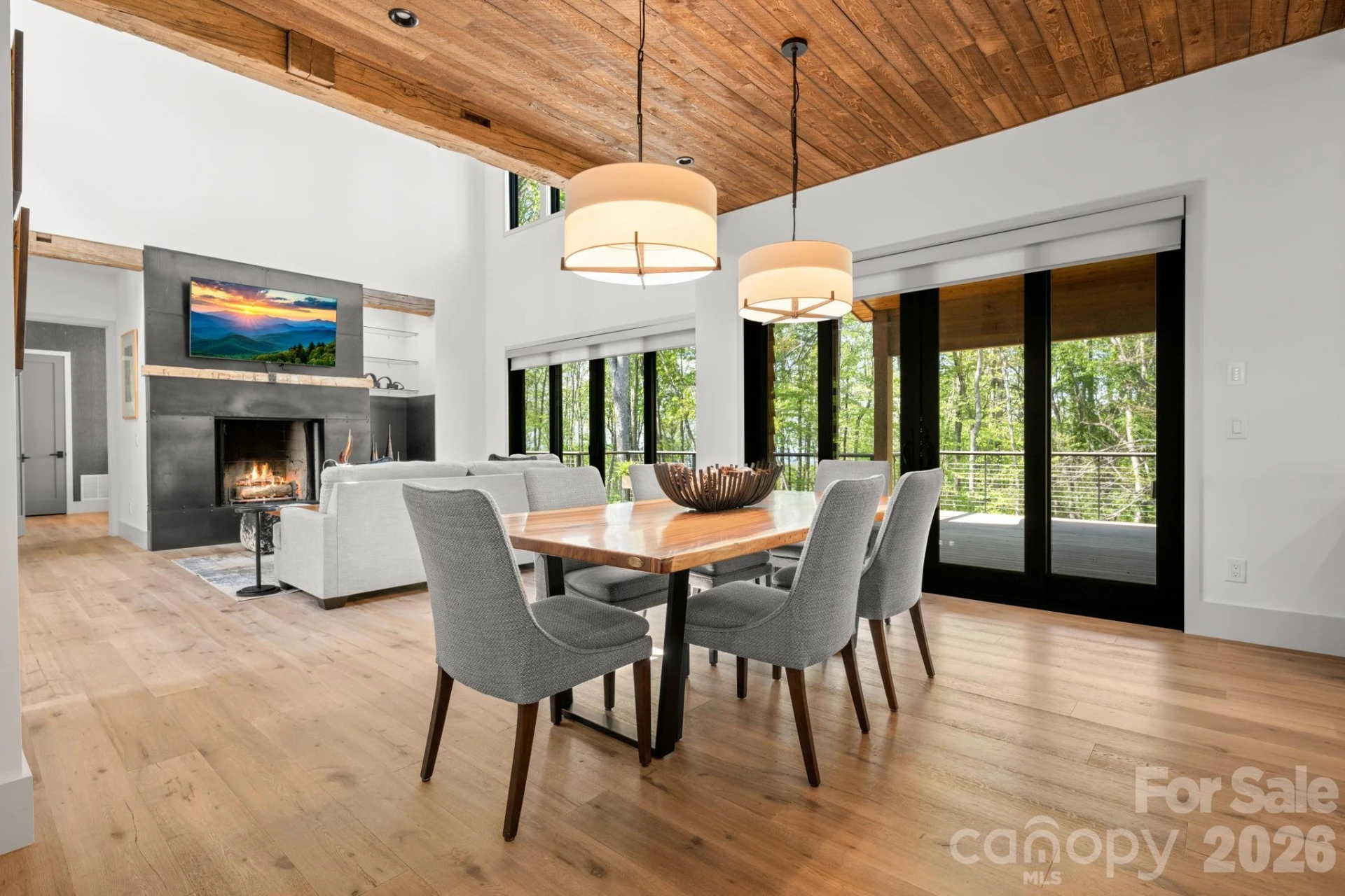 576 Eagle Springs Trail - Photo 8