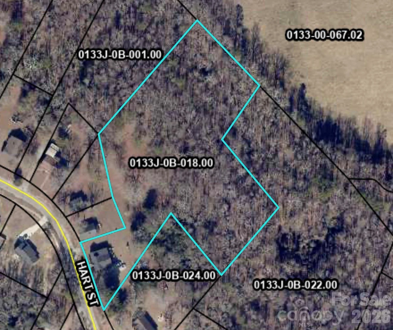636 Hart Street - Photo 2