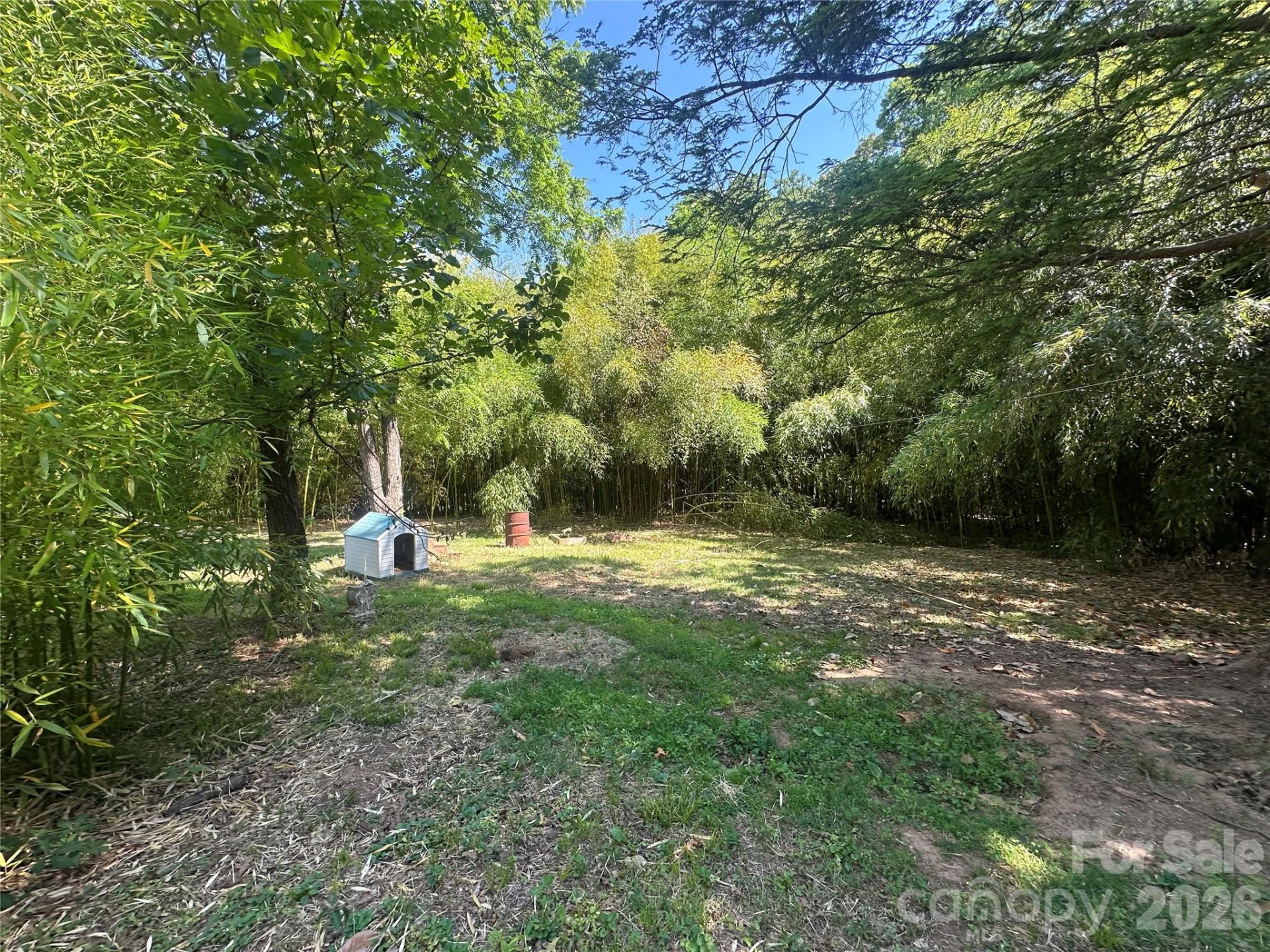 241 Wilson Road - Photo 14