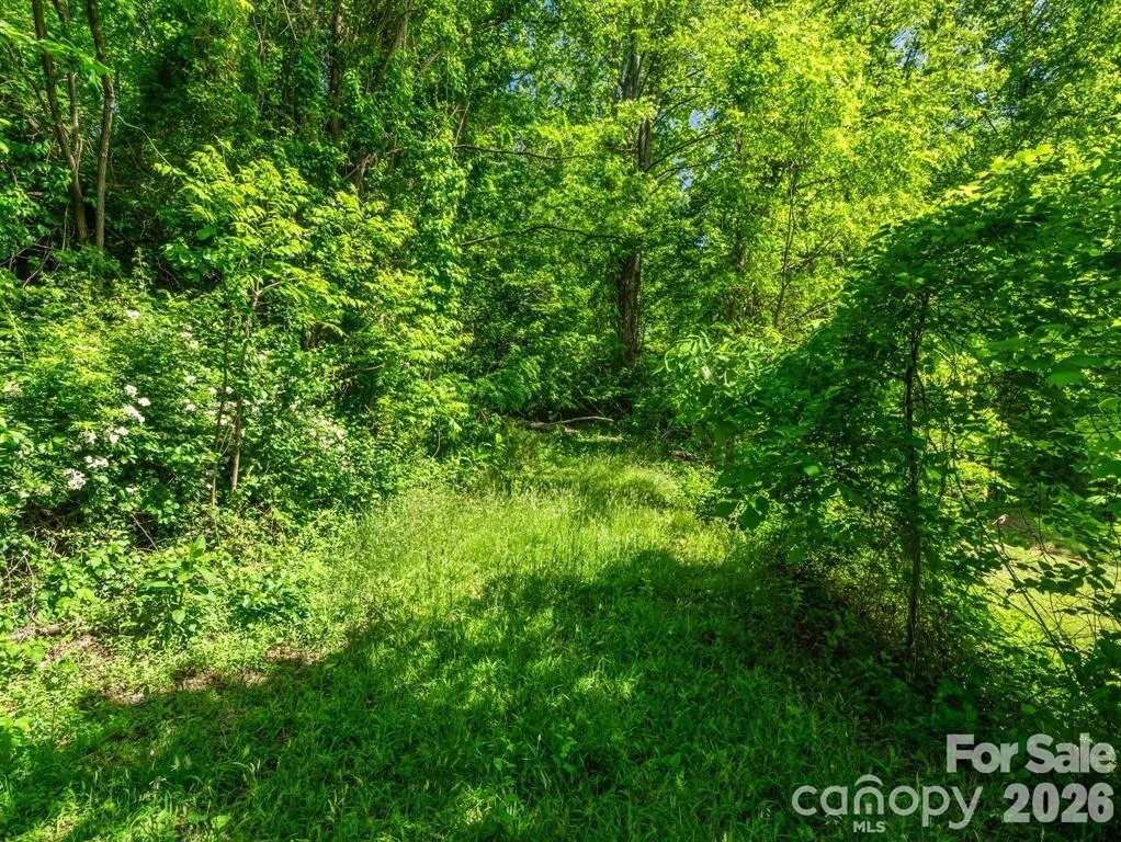88 Hamilton Acres Drive - Photo 6