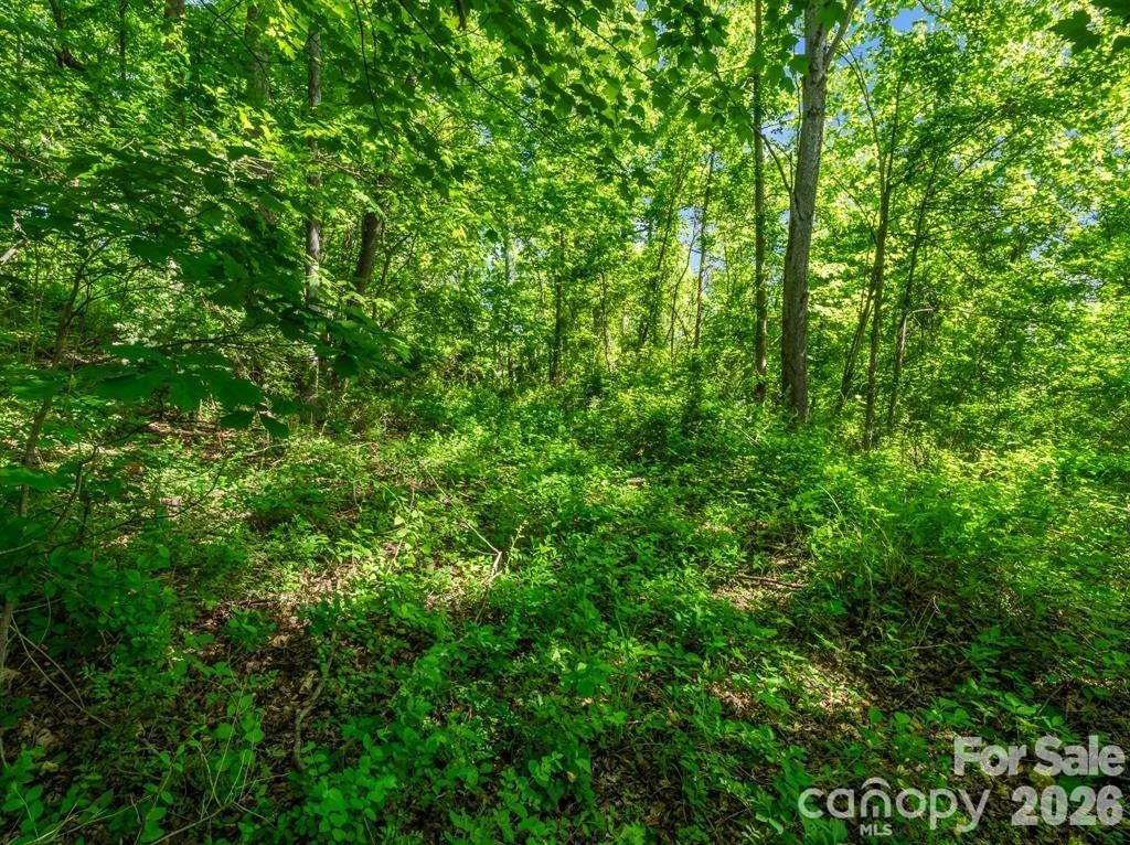 88 Hamilton Acres Drive - Photo 7