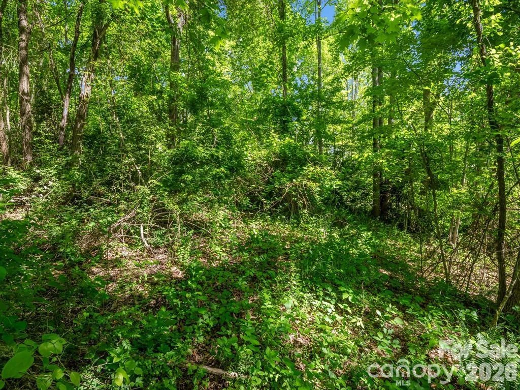 88 Hamilton Acres Drive - Photo 8