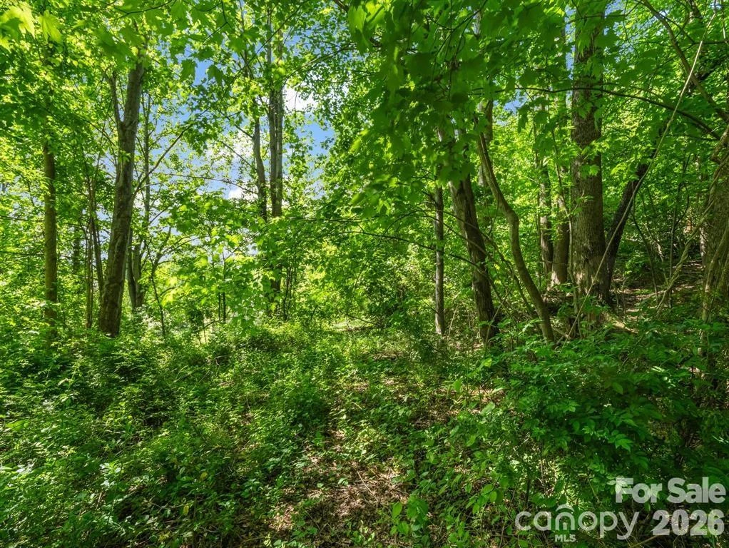 00 Hamilton Acres Drive - Photo 9