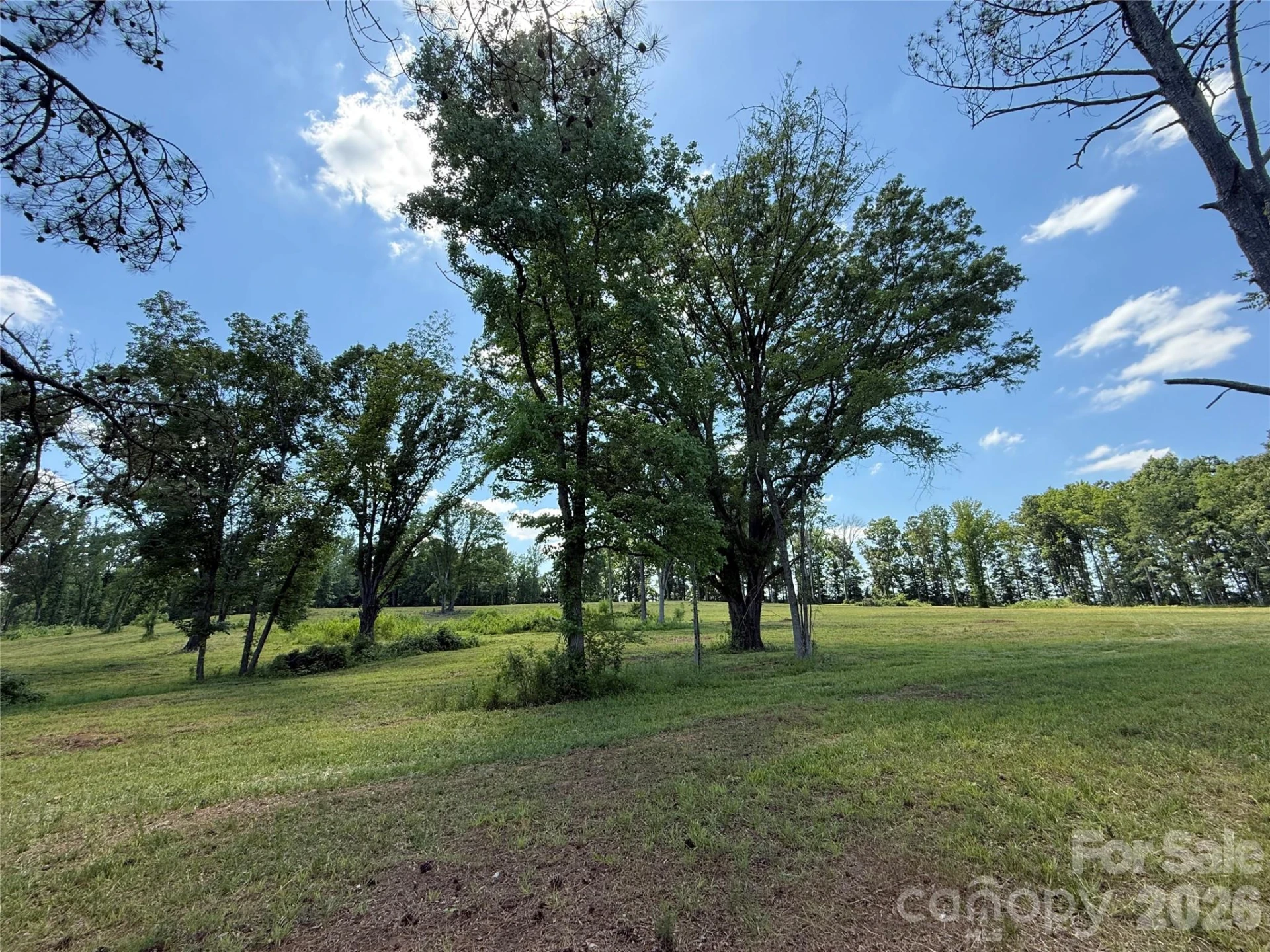 438 Able Road - Photo 8