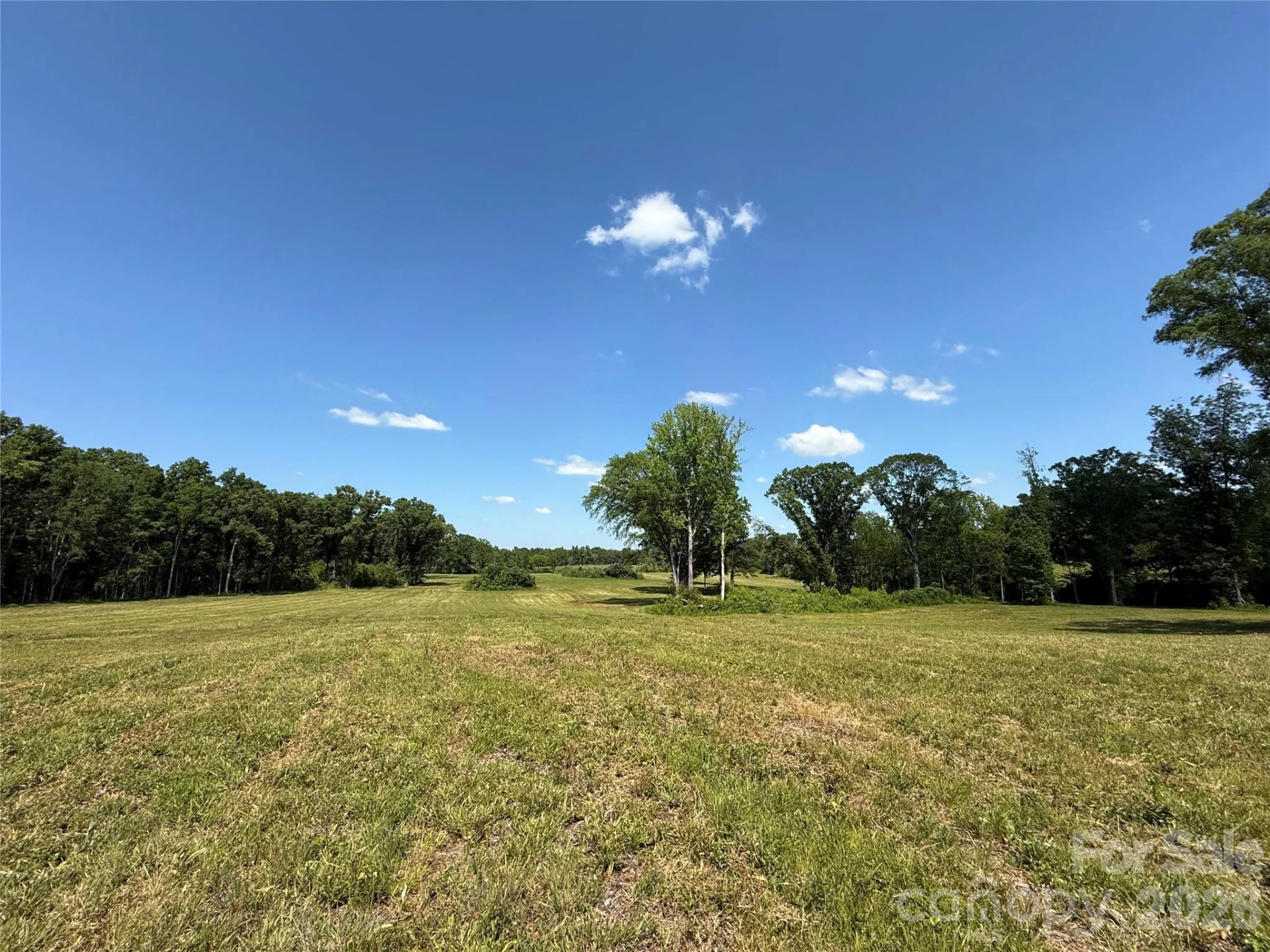 438 Able Road - Photo 9