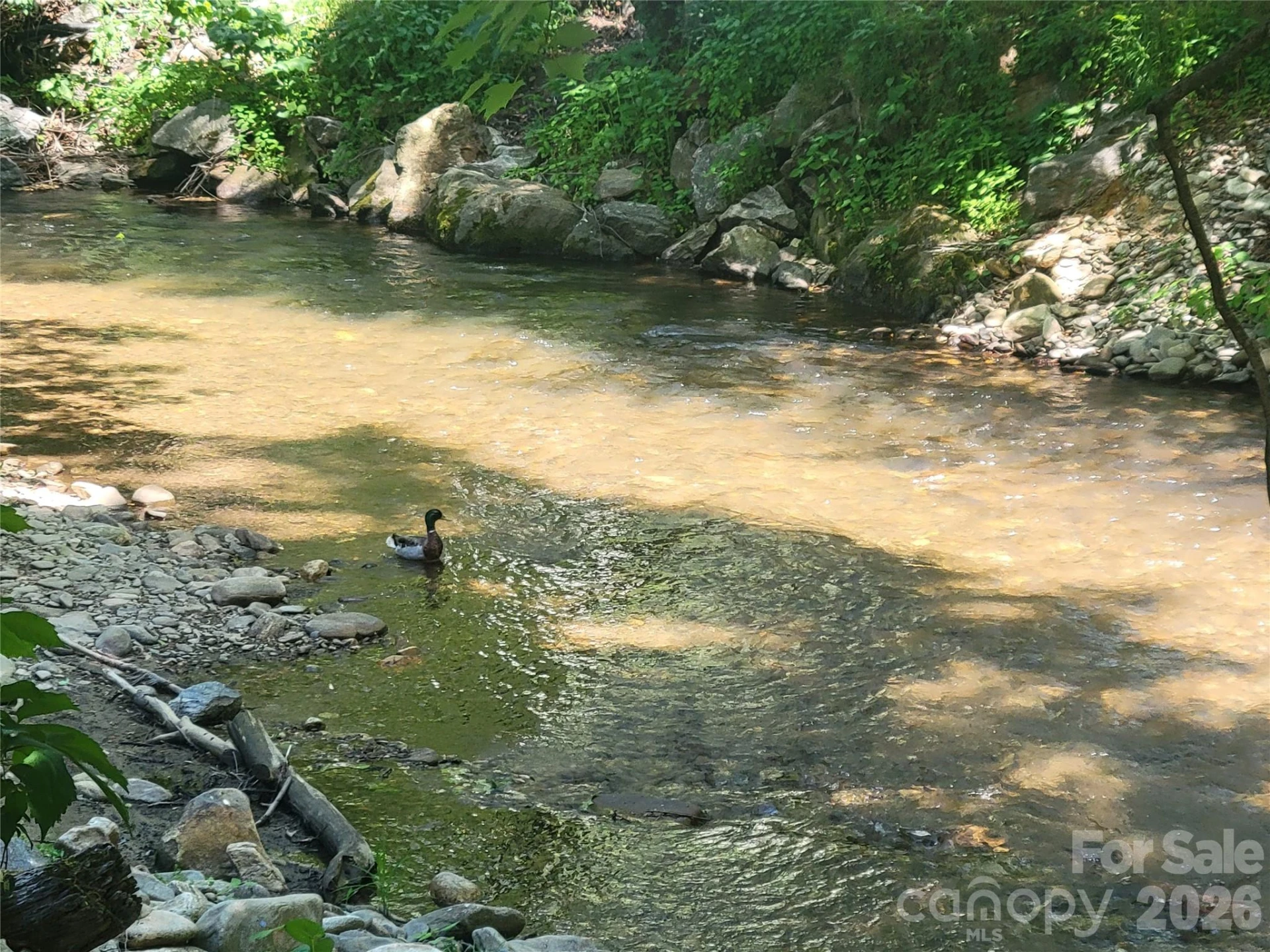 221 Moody Farm Road - Photo 28