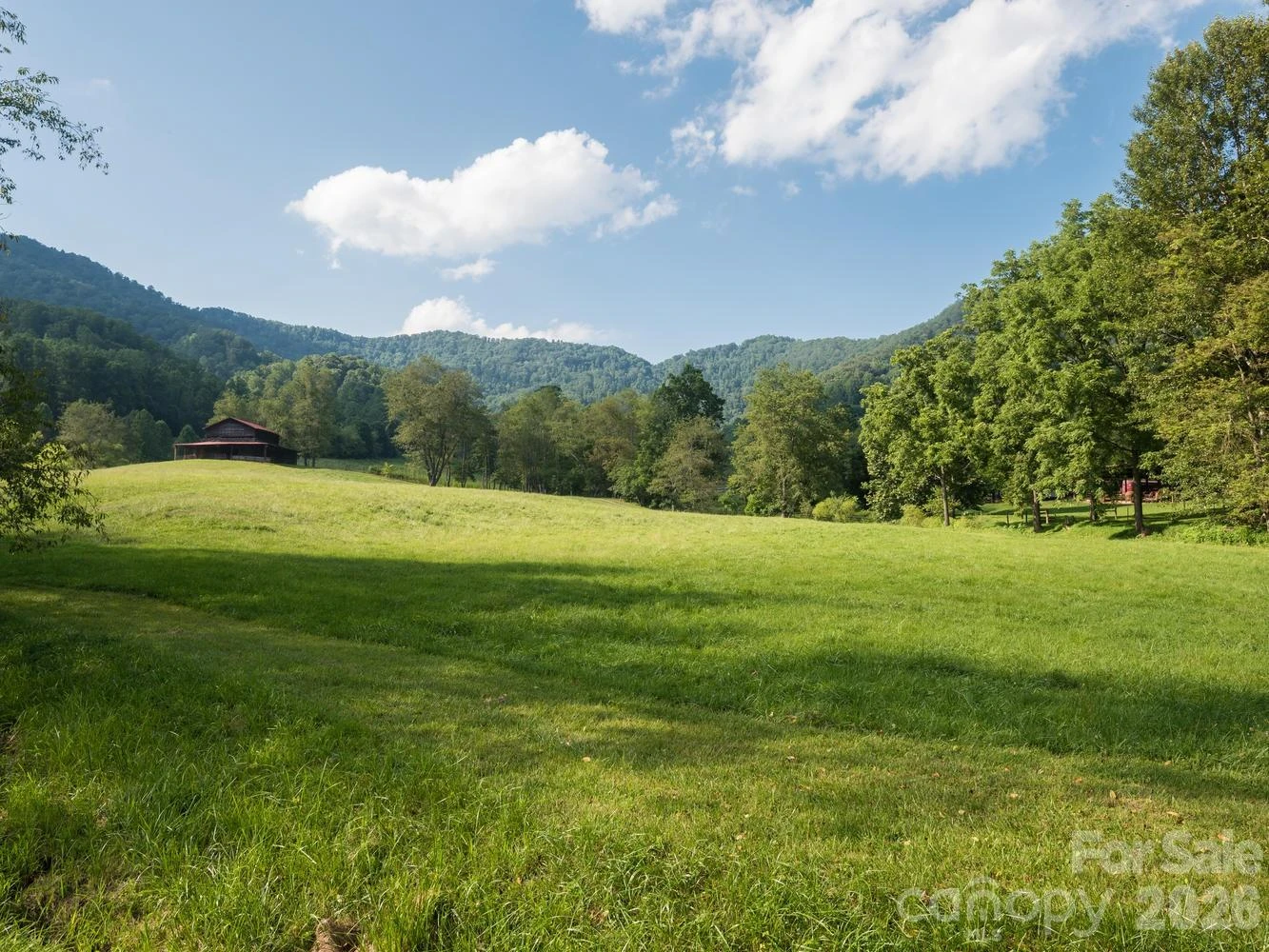 741A Morrow Branch Road - Photo 5