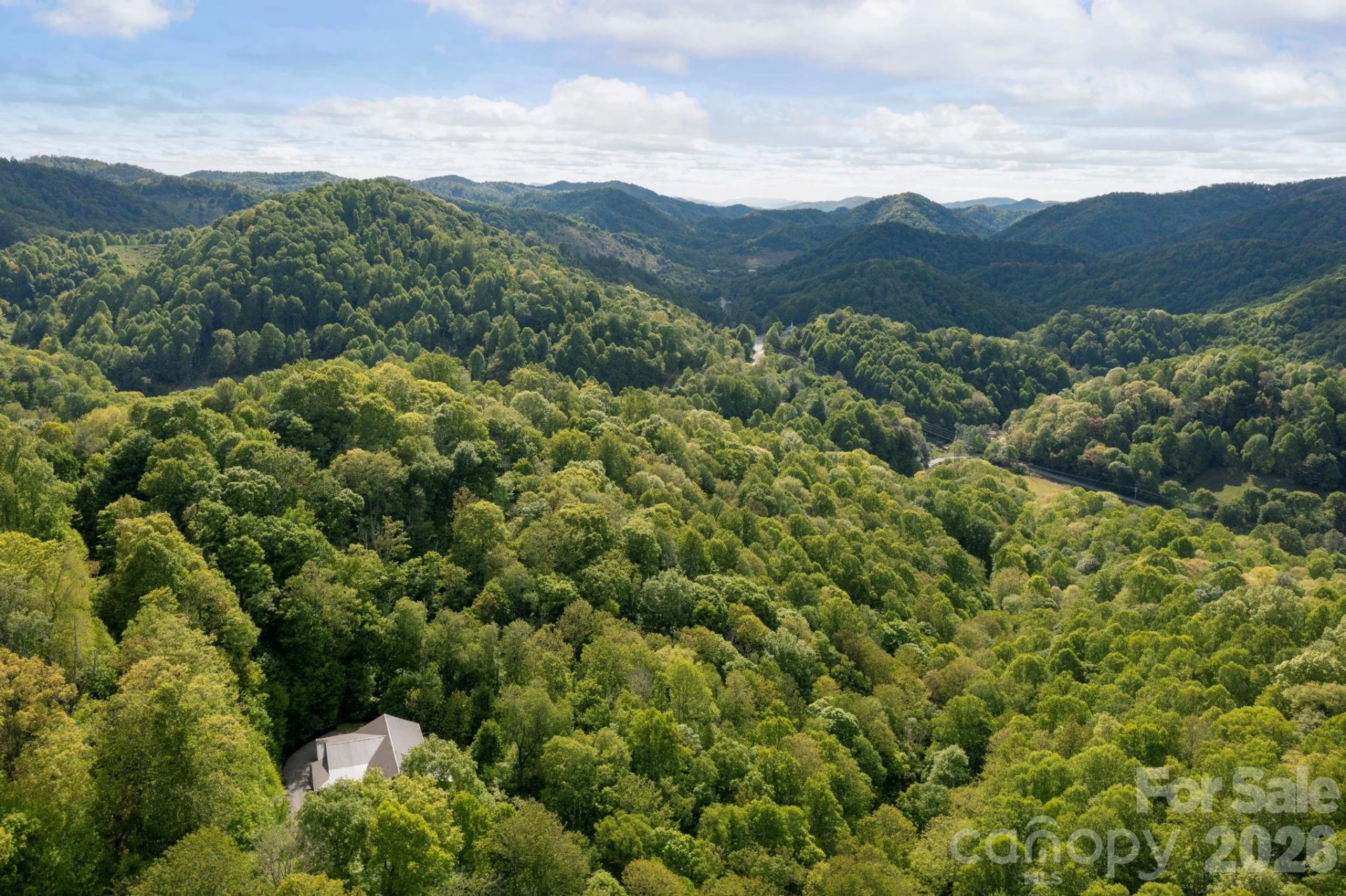 592 Susanna Cove Road - Photo 39