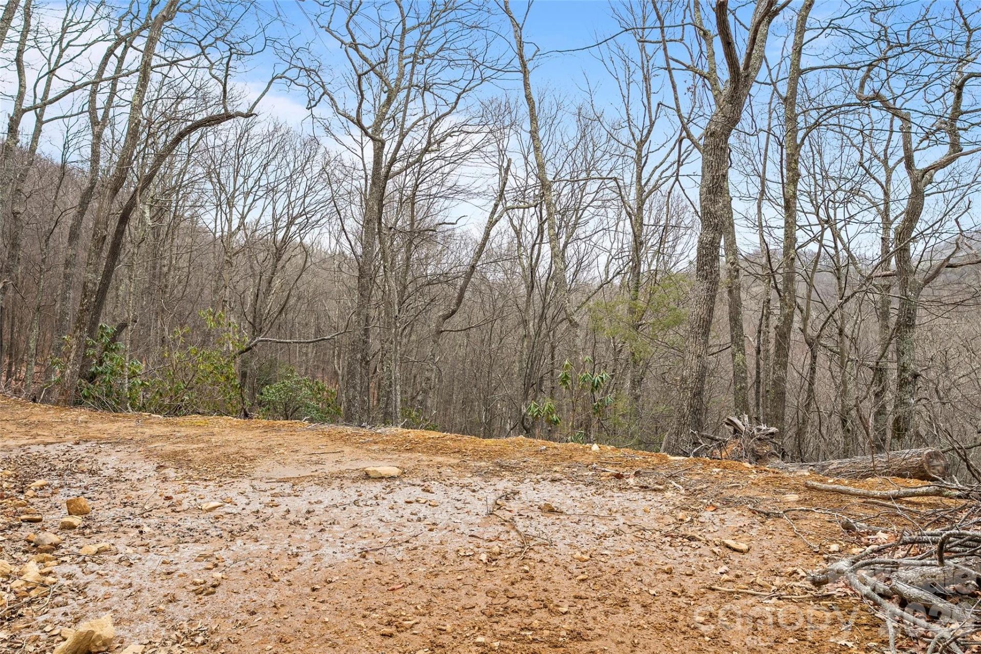 1480 Odalu Trail - Photo 2