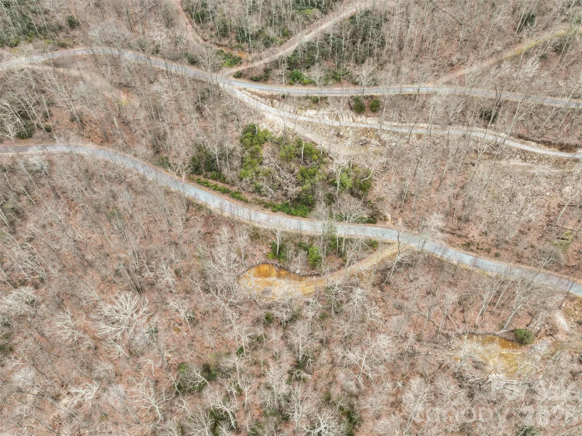 1480 Odalu Trail - Photo 15