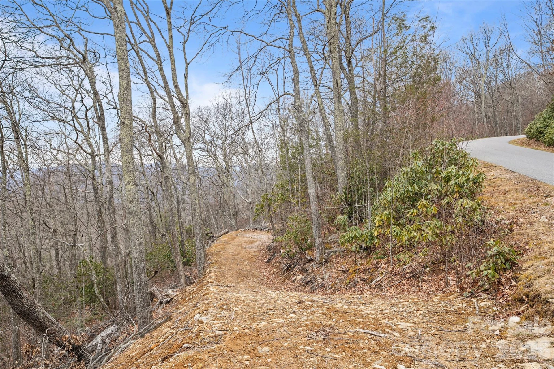 1480 Odalu Trail - Photo 3