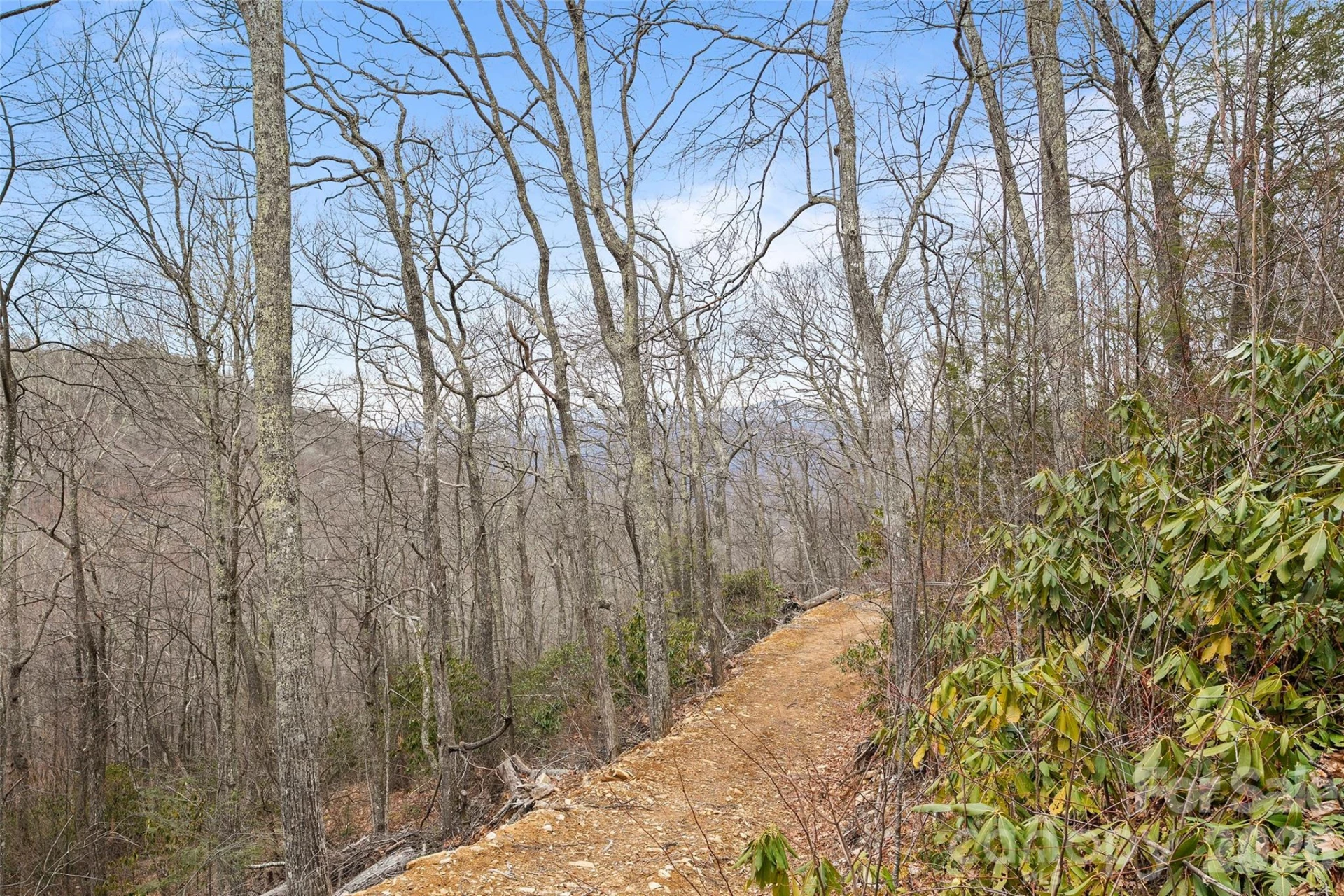 1480 Odalu Trail - Photo 4