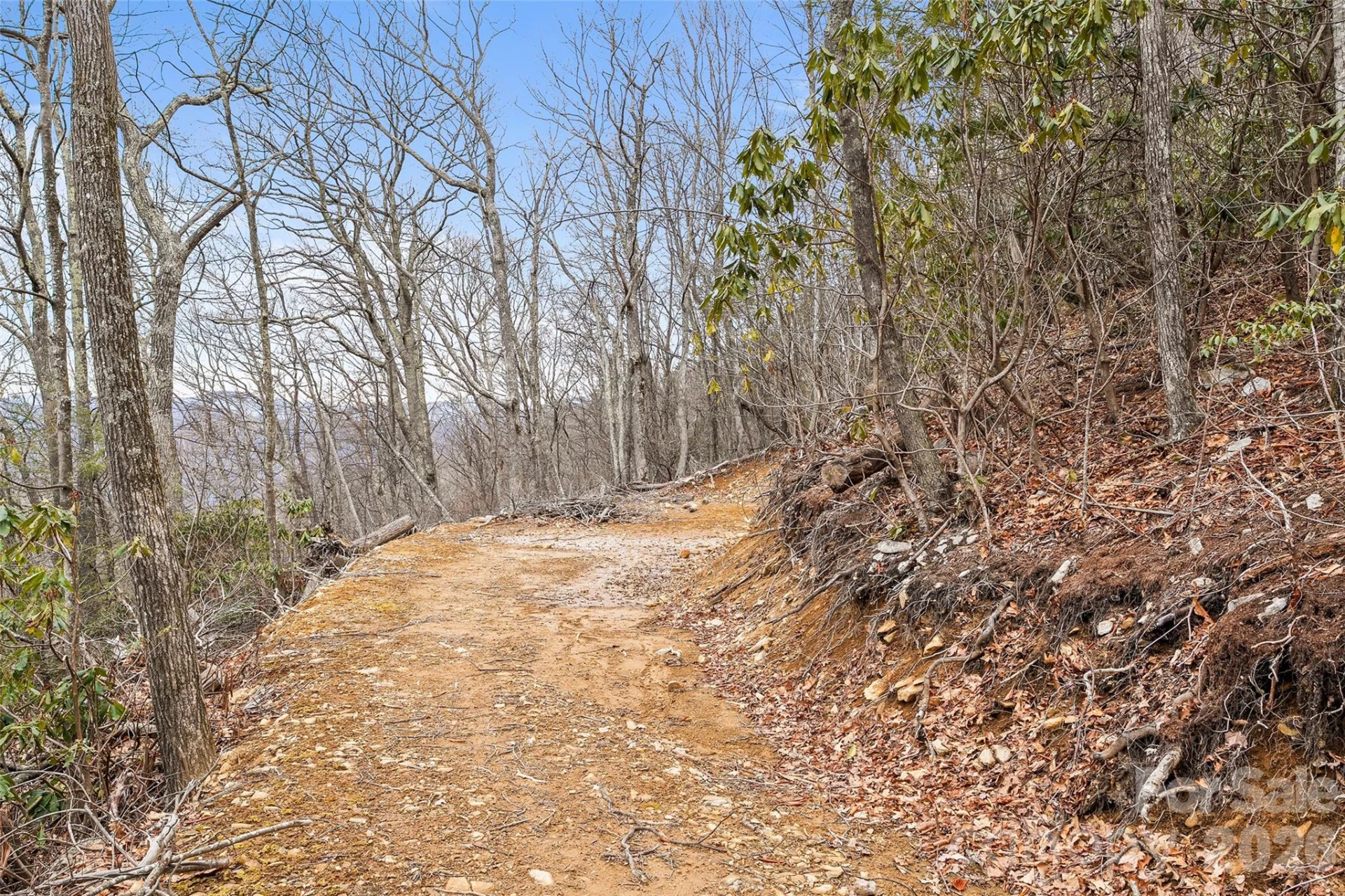 1480 Odalu Trail - Photo 5