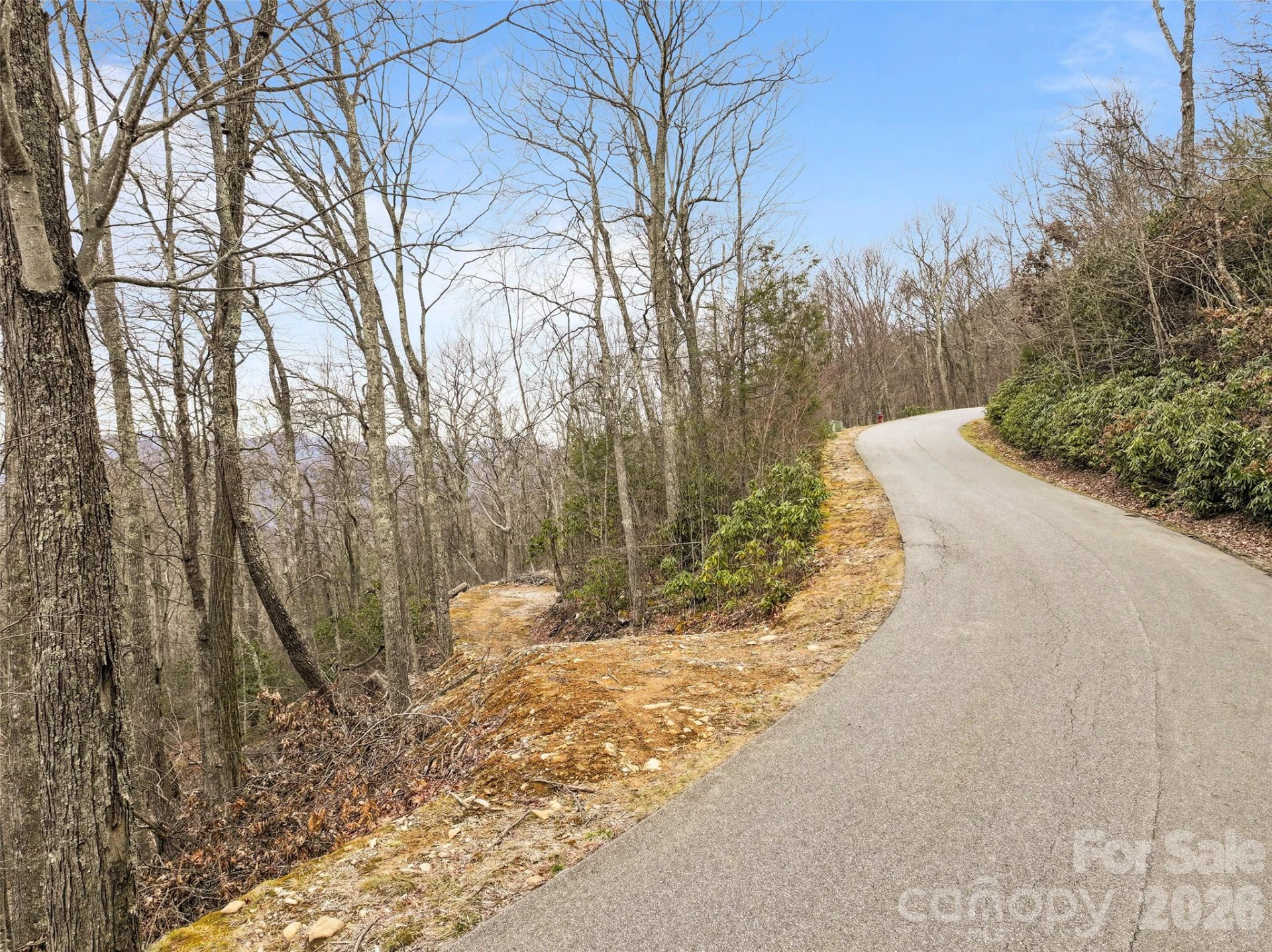 1480 Odalu Trail - Photo 6