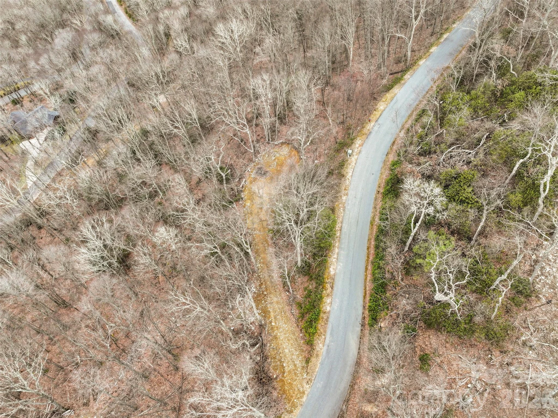 1480 Odalu Trail - Photo 10