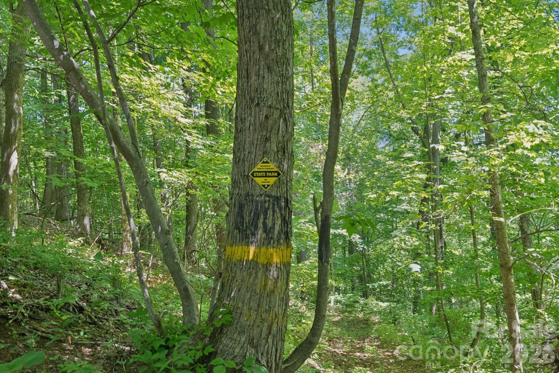 89 Apgar Road - Photo 25