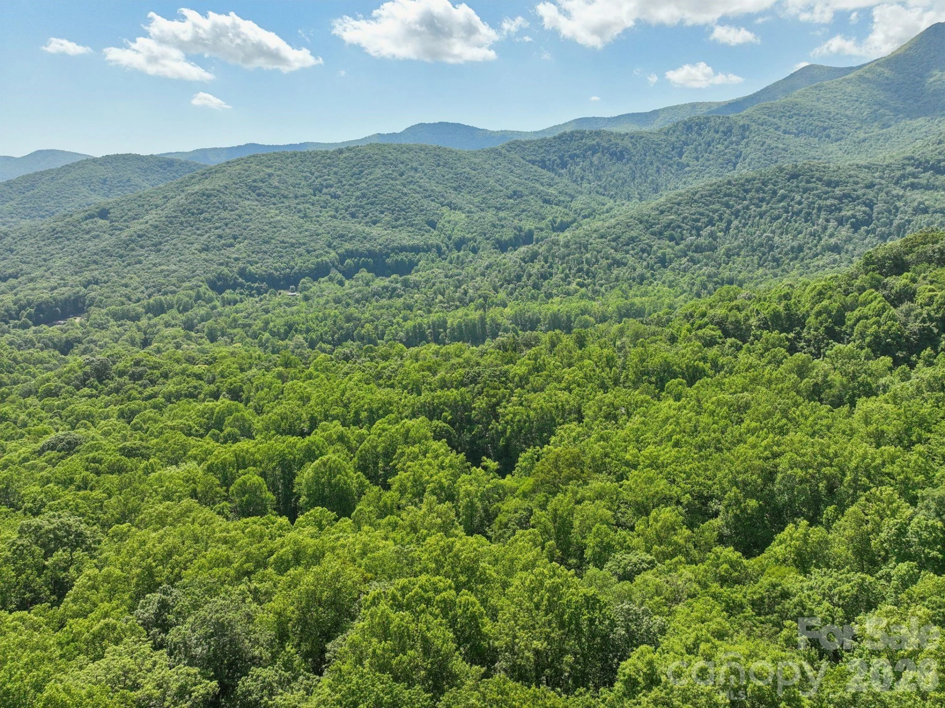 89 Apgar Road - Photo 28