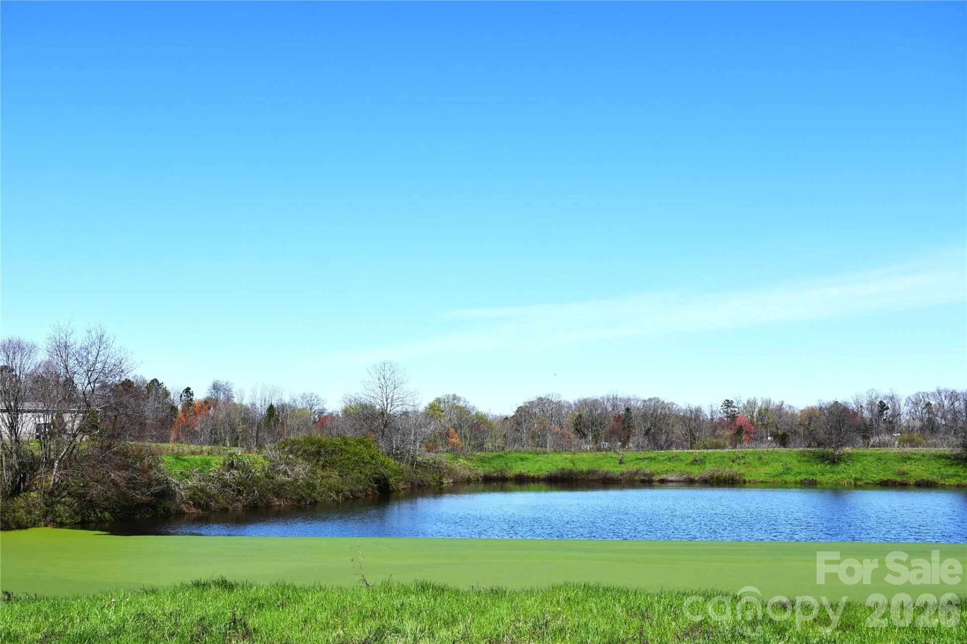34230 George Road - Photo 13