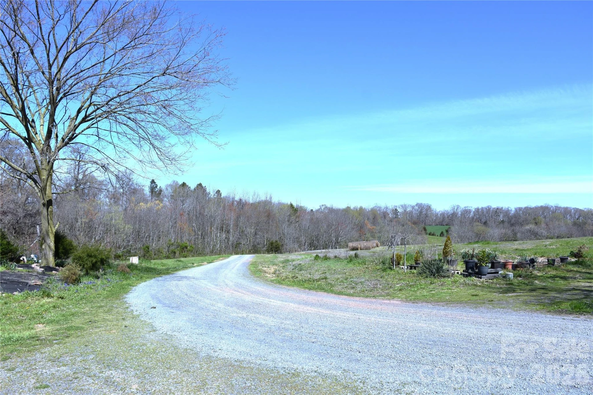 34230 George Road - Photo 26