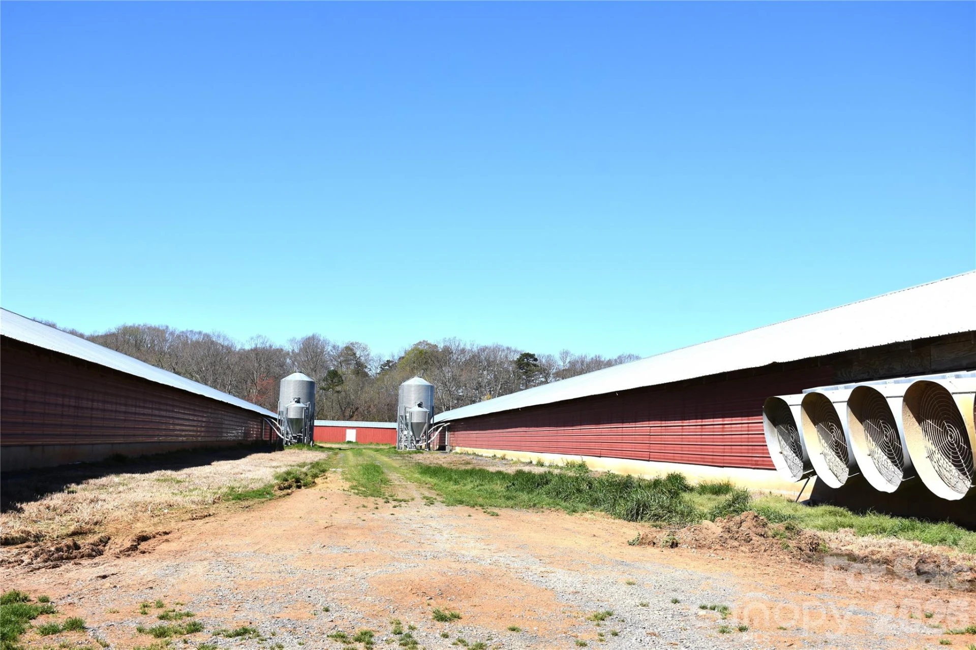 34230 George Road - Photo 10