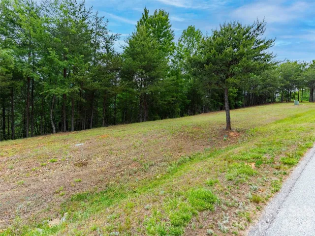 38 Deep Gap Farm Road, Mill Spring, NC, 28756