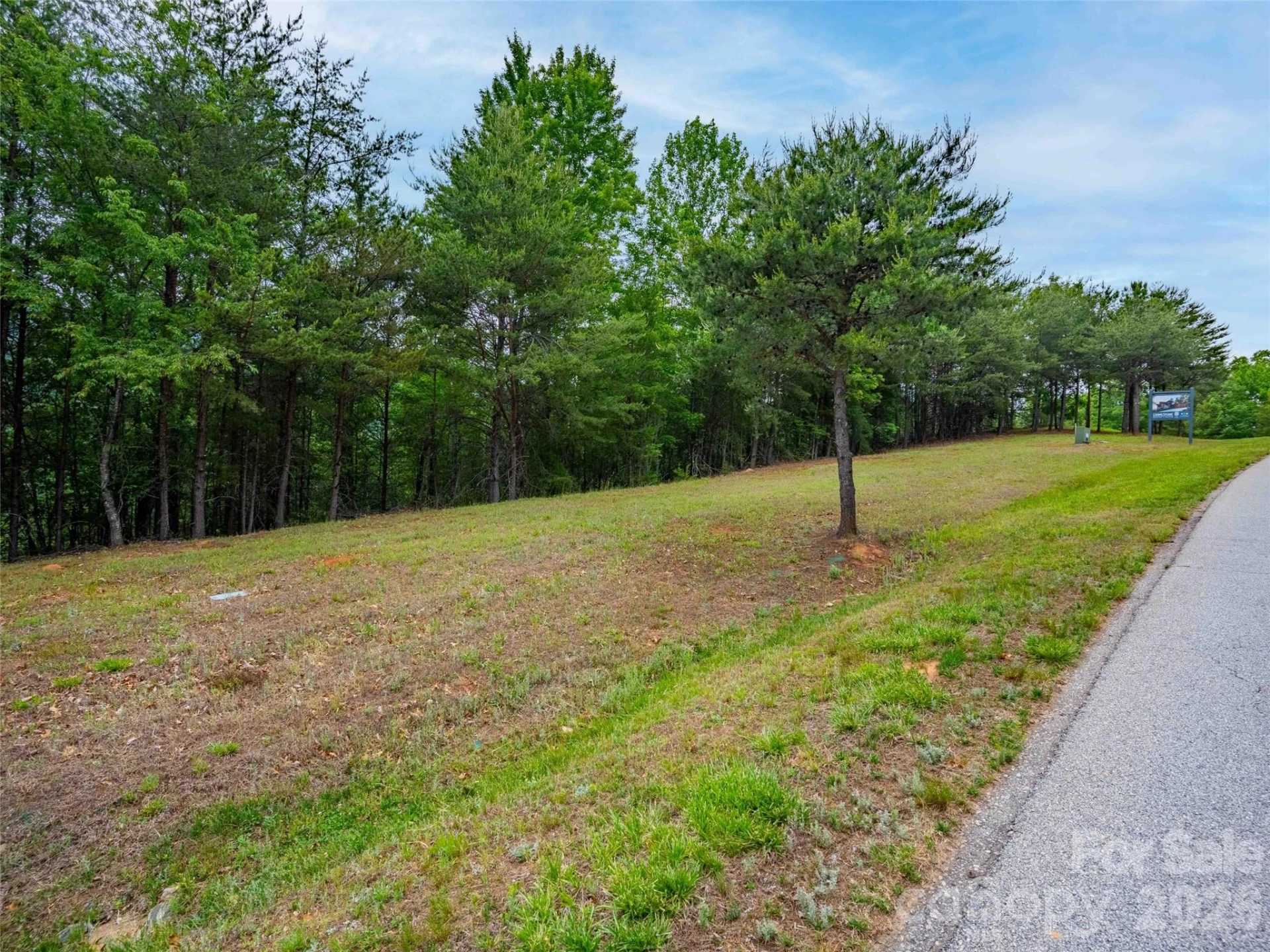 38 Deep Gap Farm Road #38 - Photo 2