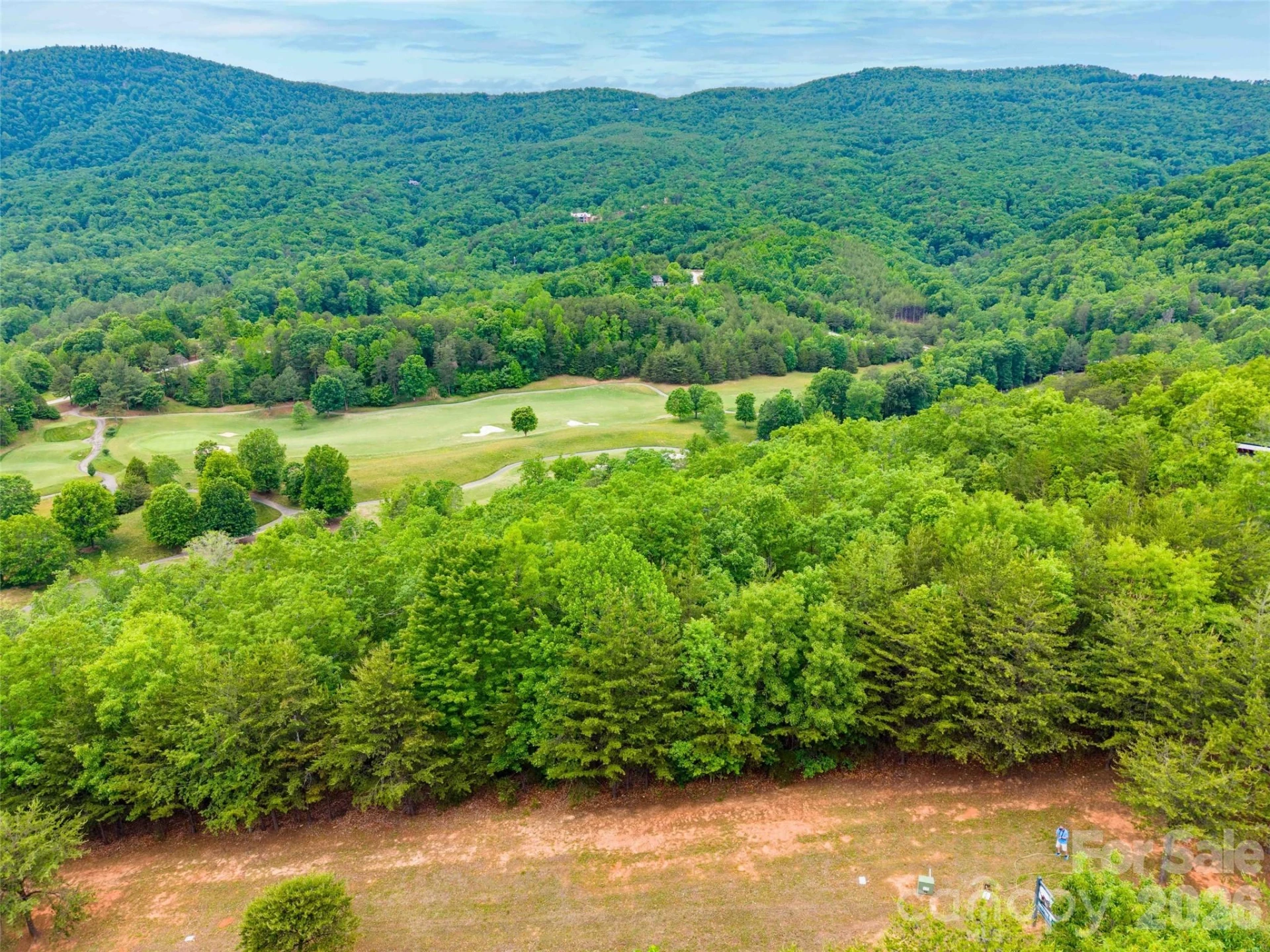 38 Deep Gap Farm Road #38 - Photo 12