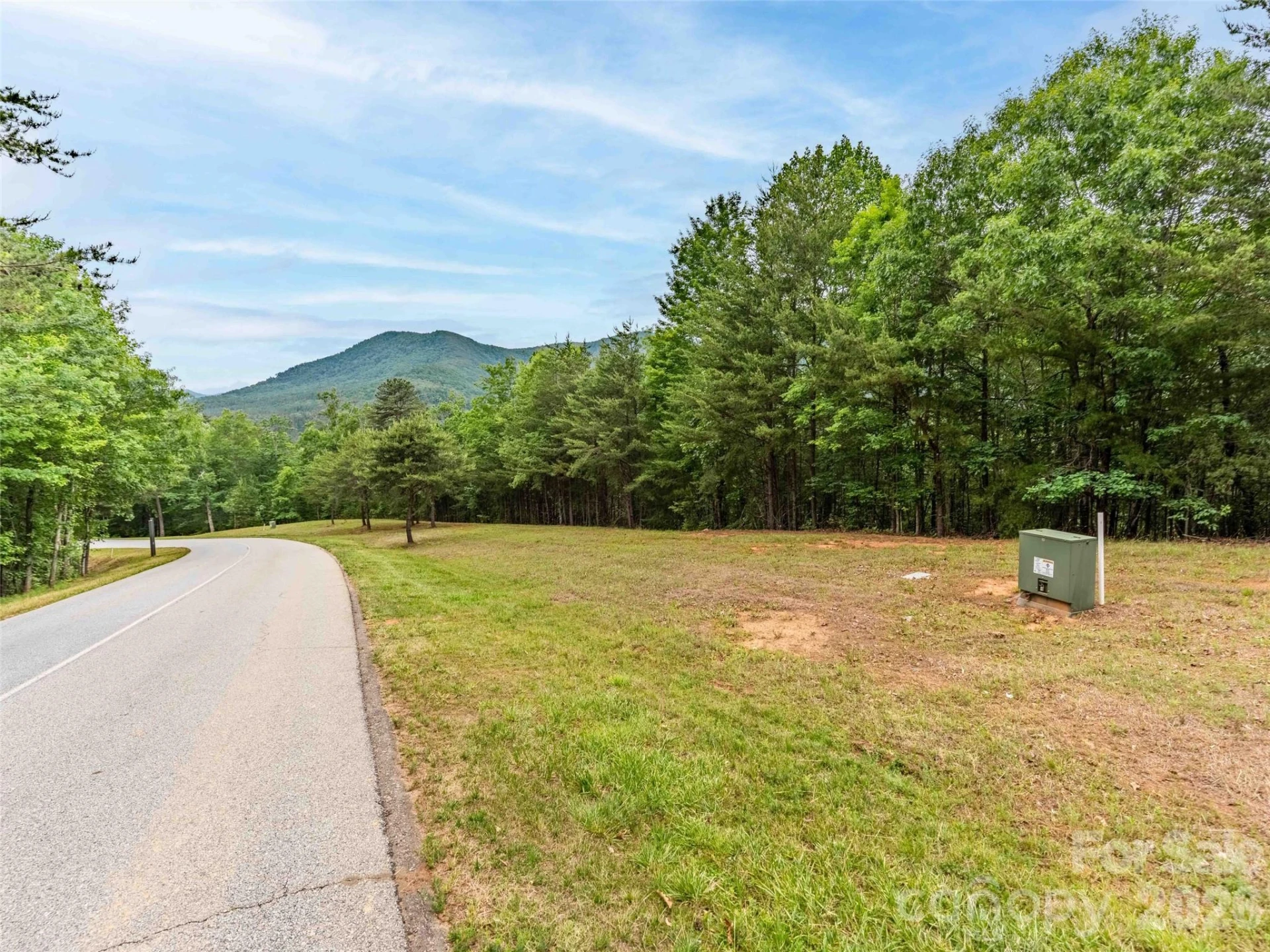 38 Deep Gap Farm Road #38 - Photo 4