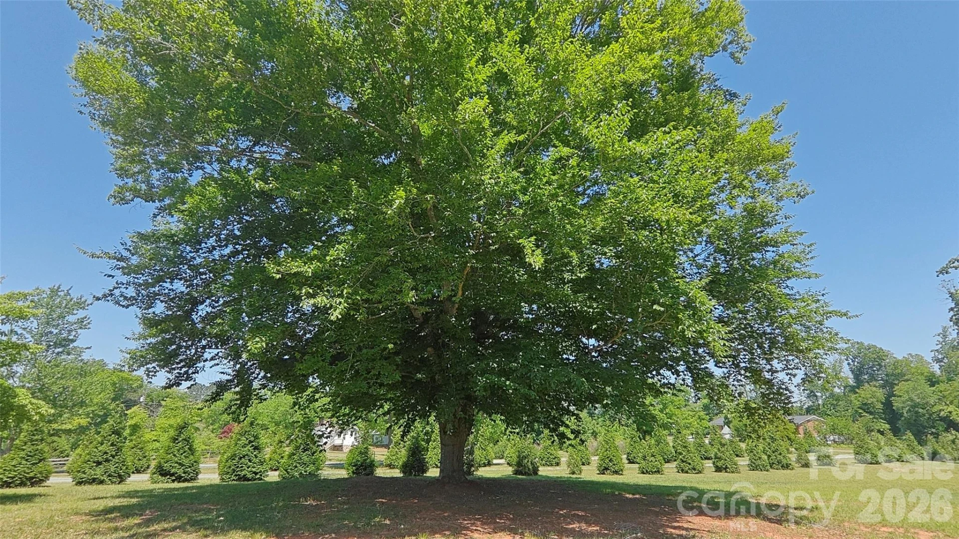 8710 Stokes Ferry Road - Photo 26