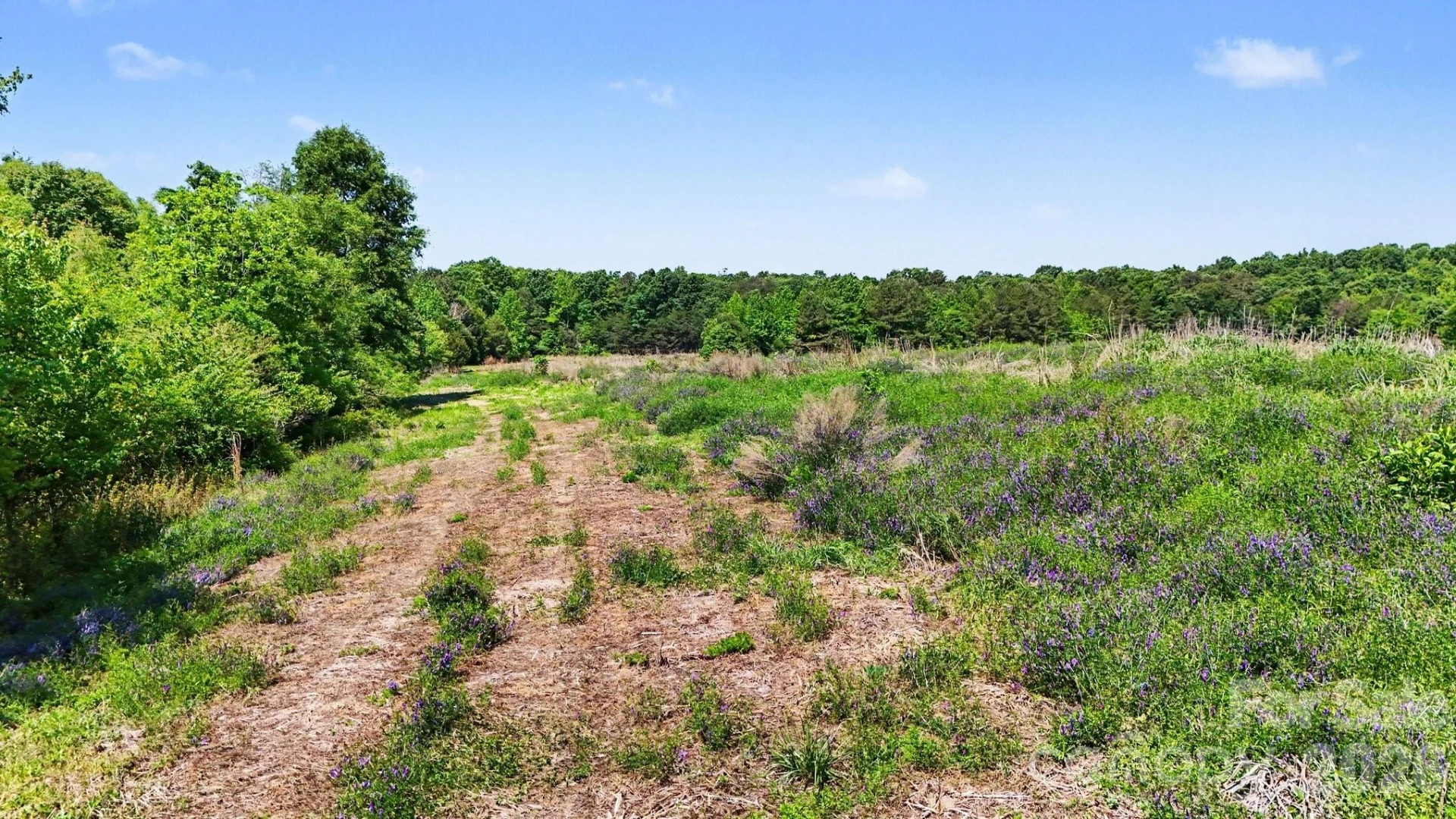 1832 Tysinger Road - Photo 2