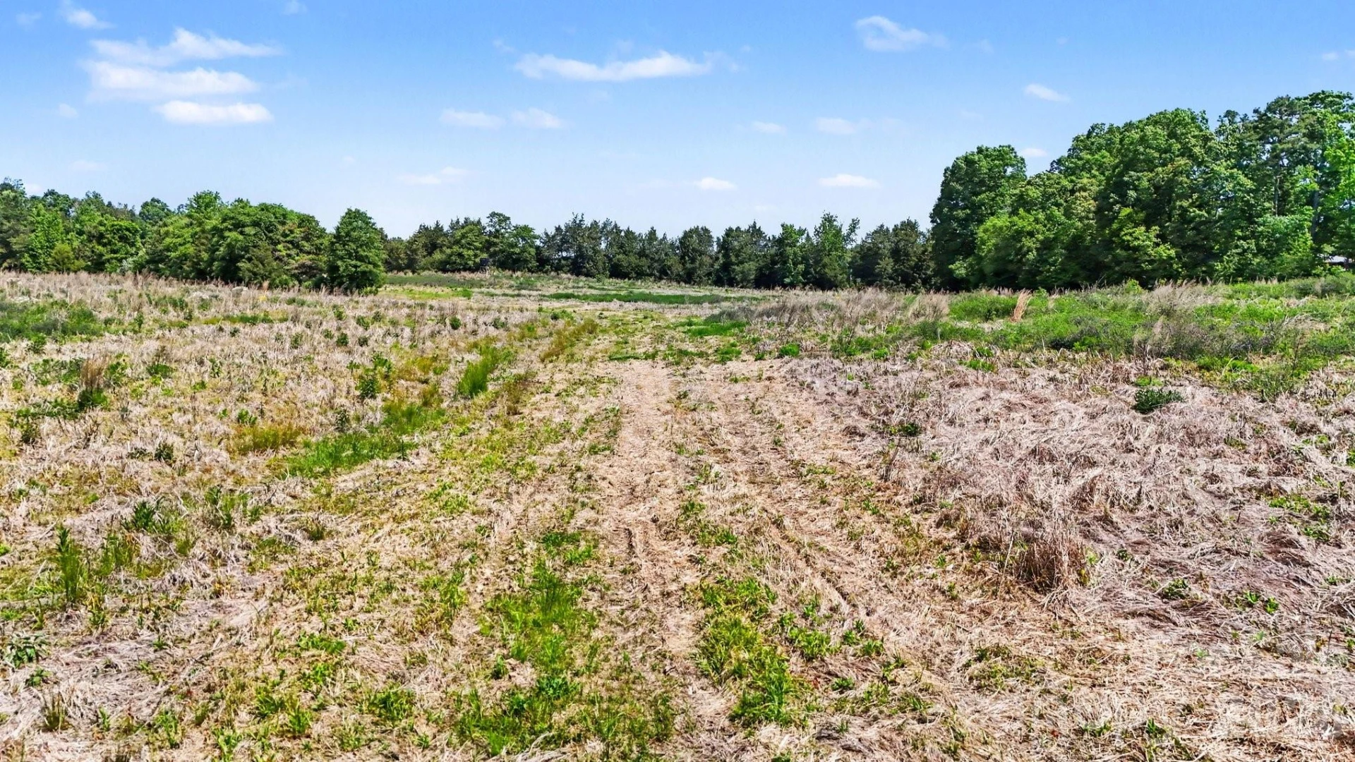 1832 Tysinger Road - Photo 3
